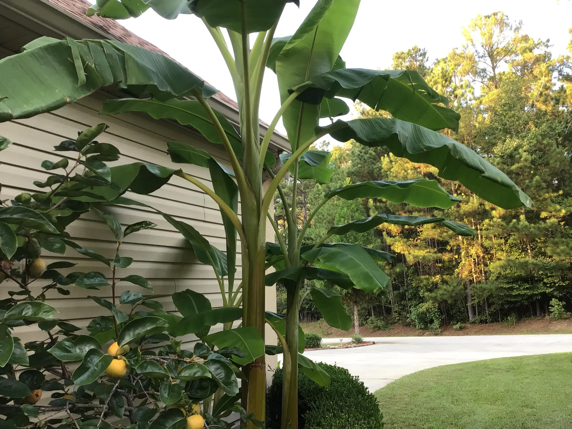 Property Slideshow image 7 of 74 | 218 monroe ln, Mc Cormick, SC, 29835