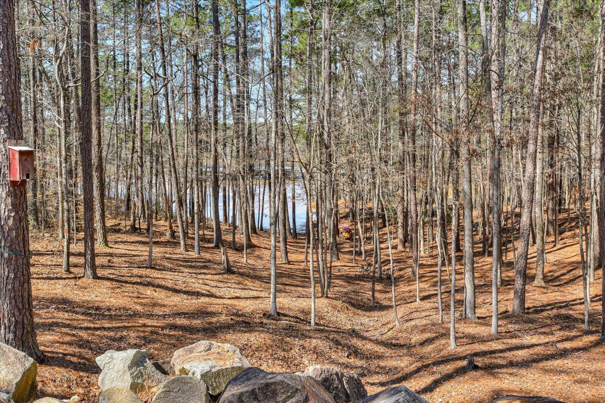 Property Slideshow image 52 of 64 | 185 bereau dr, Mc Cormick, SC, 29835