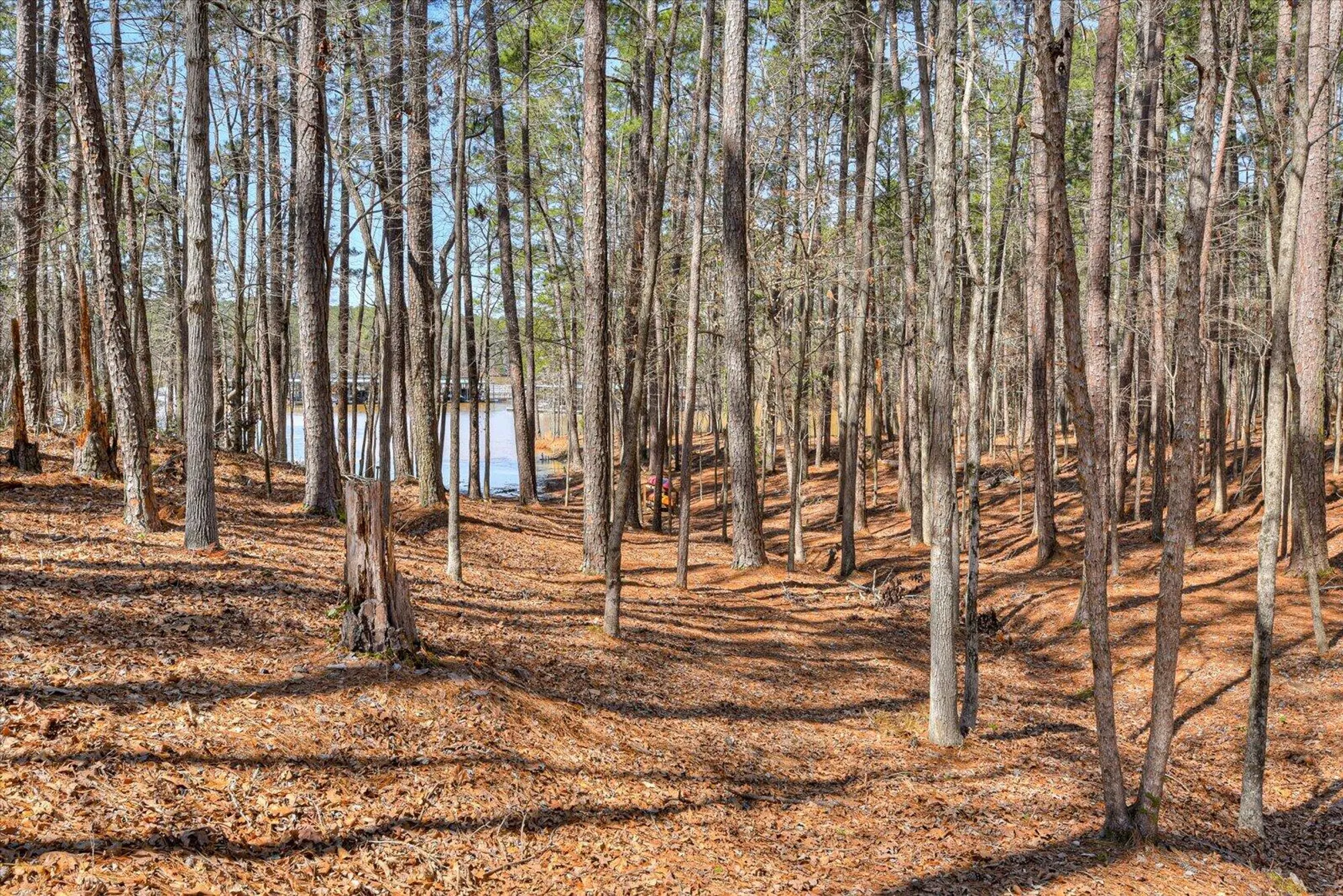 Property Slideshow image 57 of 64 | 185 bereau dr, Mc Cormick, SC, 29835