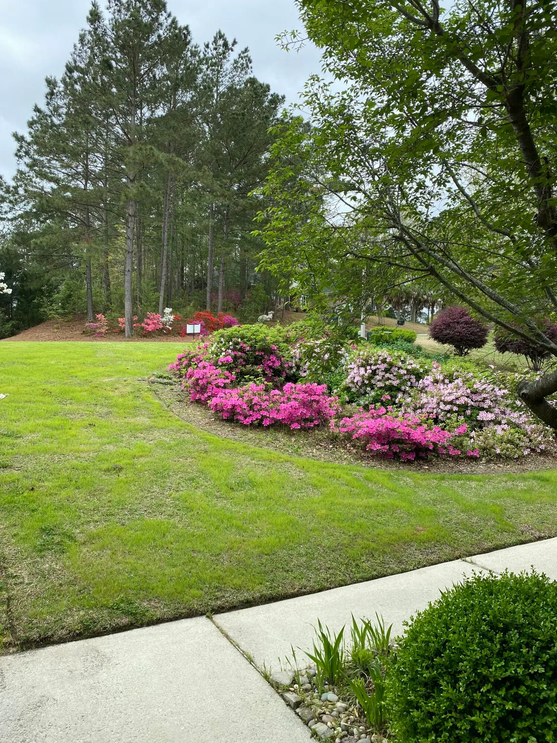 Property Slideshow image 60 of 74 | 313 live oak rd, Aiken, SC, 29803