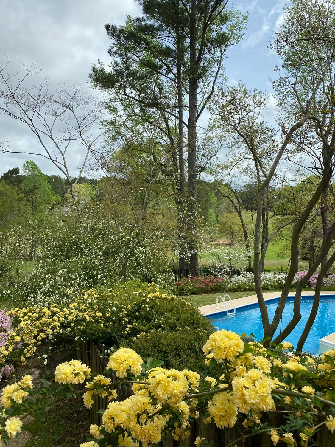 Property Slideshow image 6 of 74 | 313 live oak rd, Aiken, SC, 29803