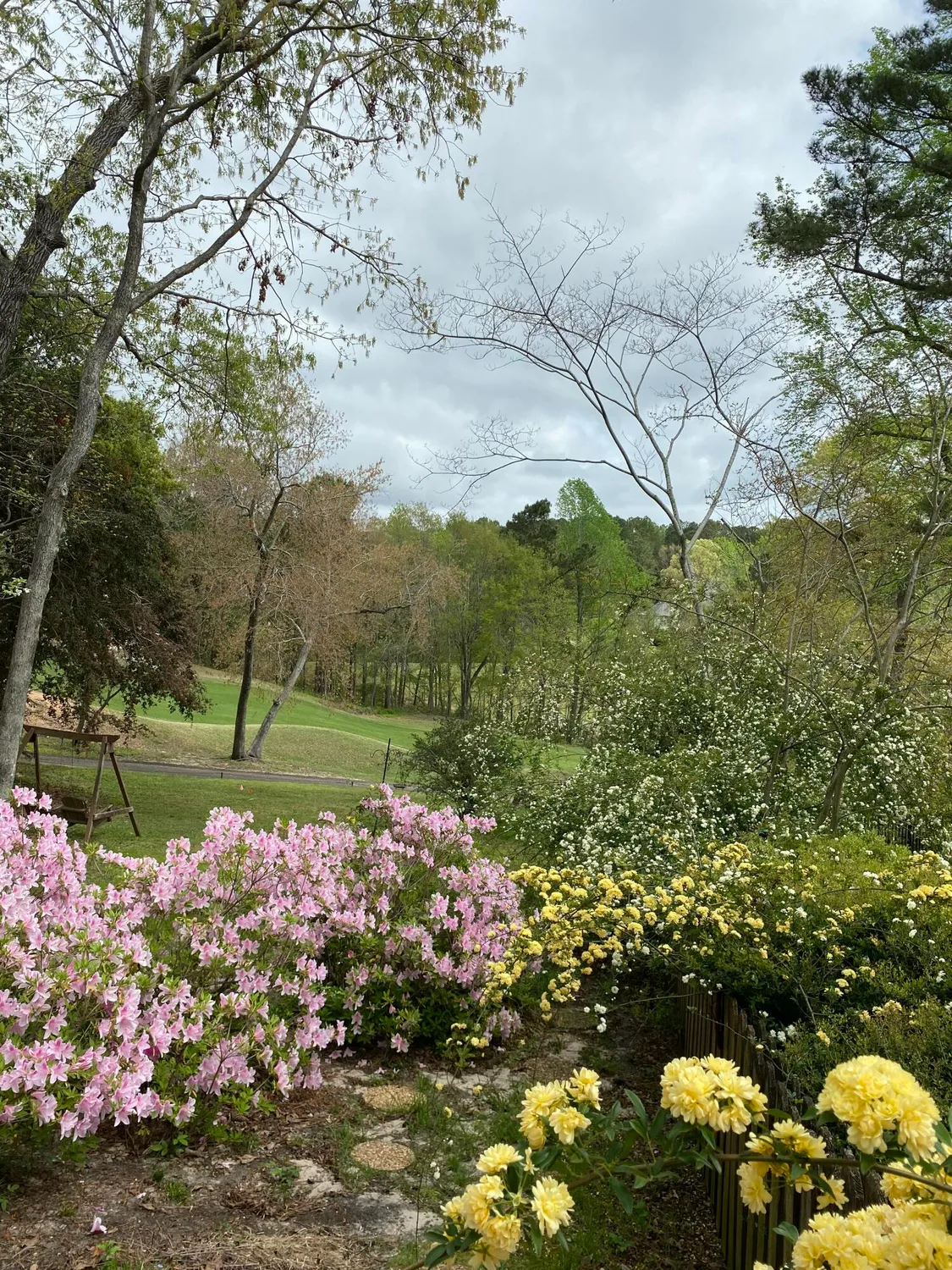 Property Slideshow image 61 of 74 | 313 live oak rd, Aiken, SC, 29803