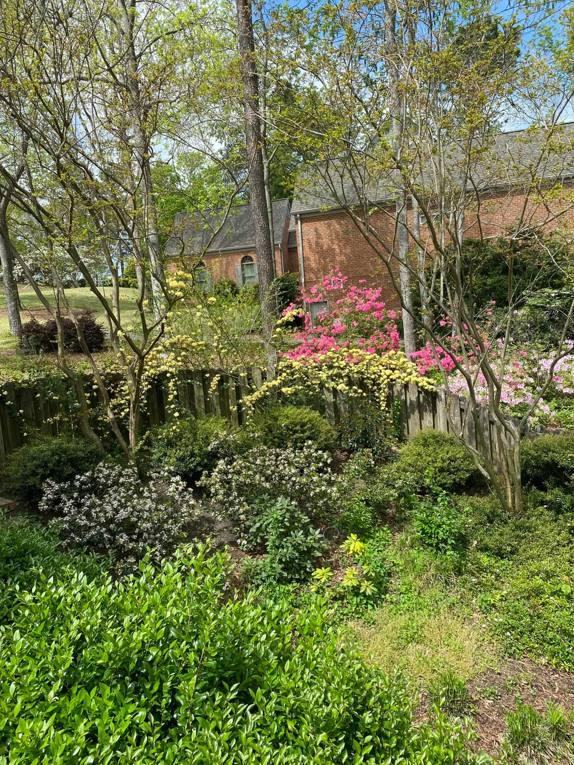 Property Slideshow image 62 of 74 | 313 live oak rd, Aiken, SC, 29803