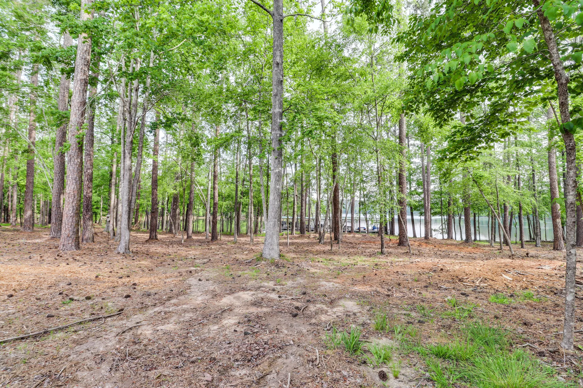 Property Slideshow image 9 of 65 | 148 grandview dr, Mc Cormick, SC, 29835