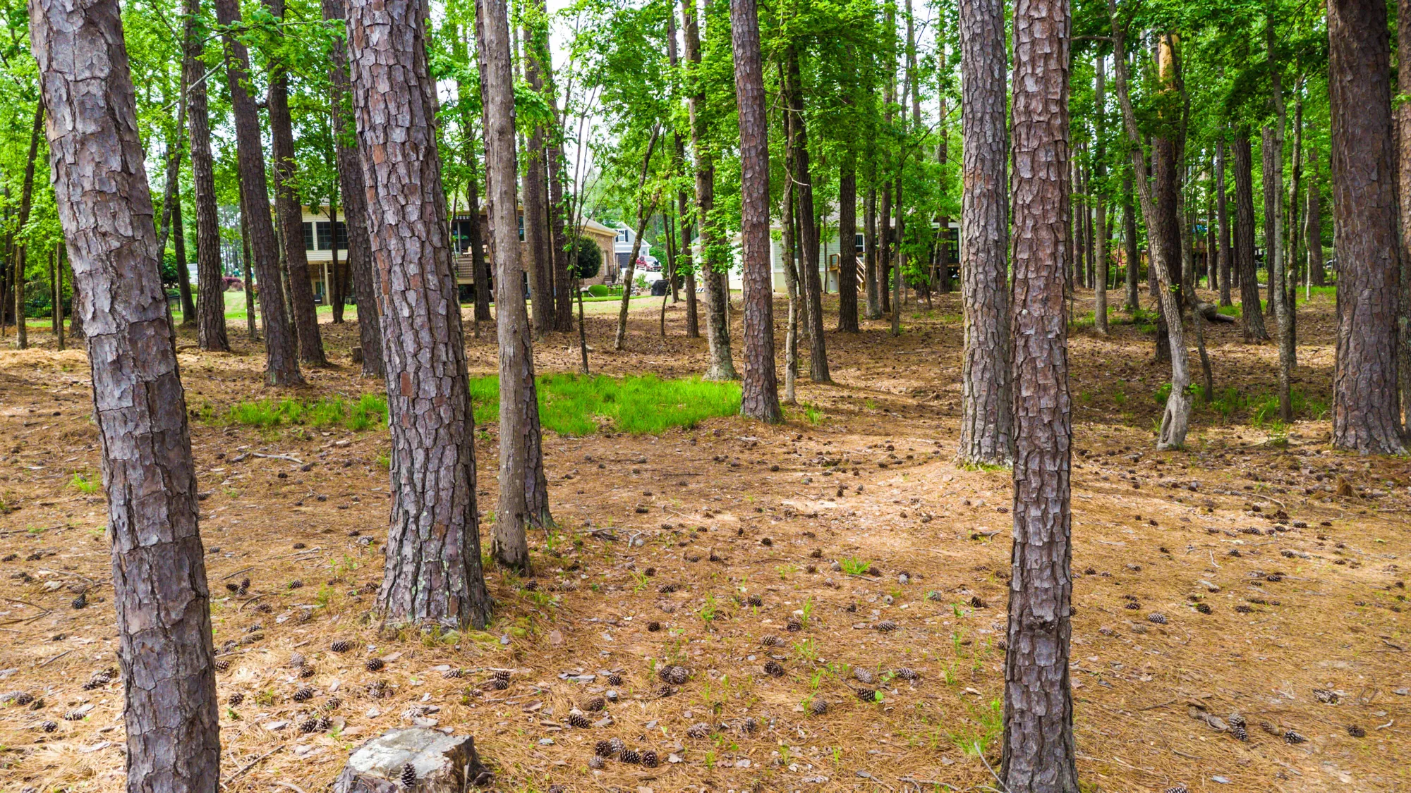 Property Slideshow image 10 of 65 | 148 grandview dr, Mc Cormick, SC, 29835