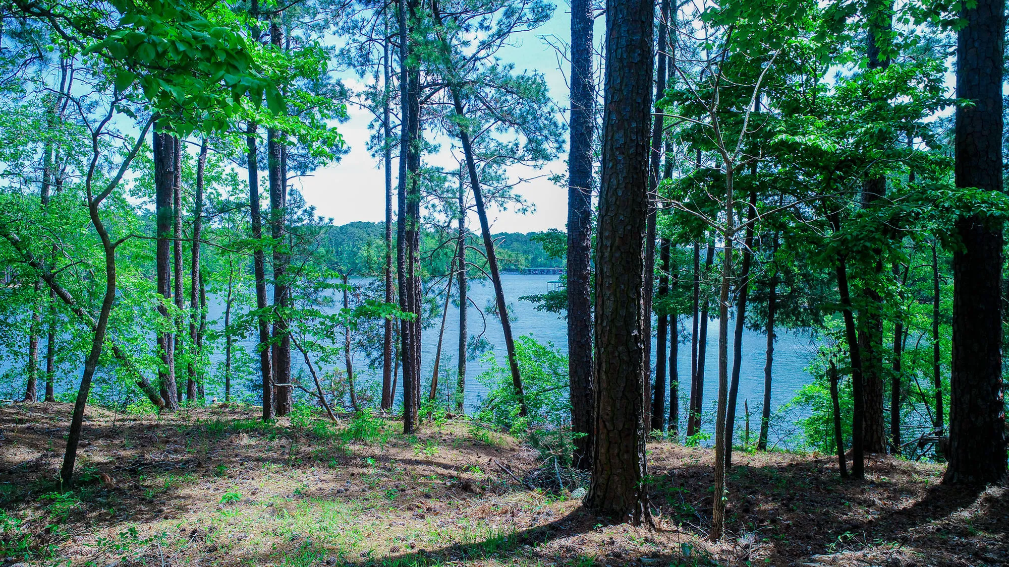 Property Slideshow image 10 of 73 | 621 heritage cv, Mc Cormick, SC, 29835