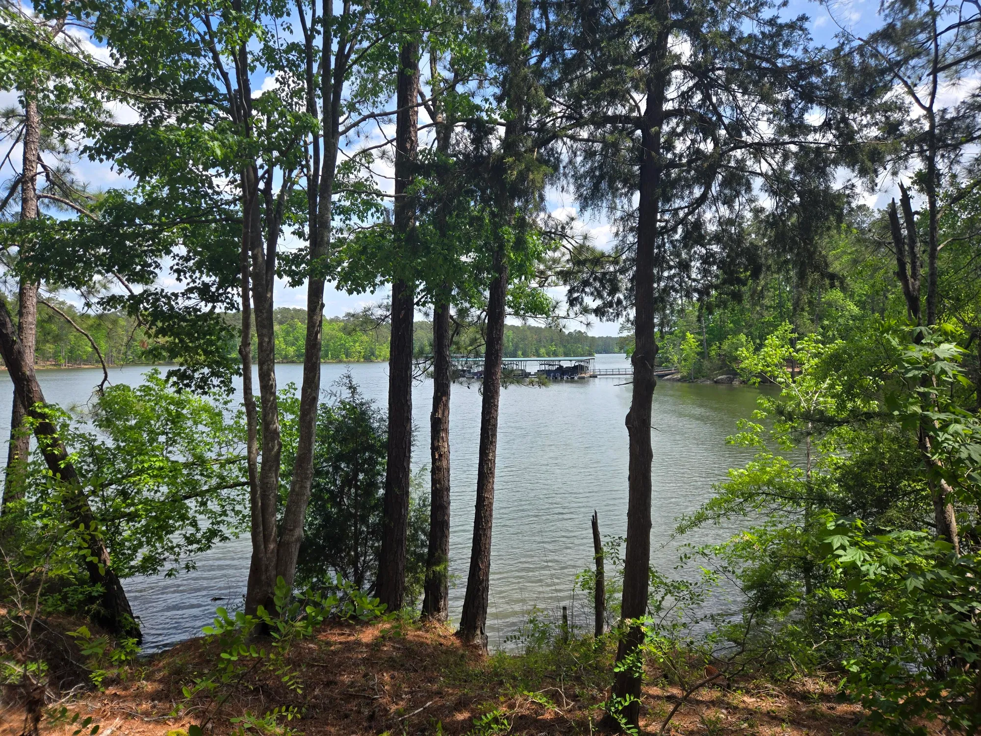 Property Slideshow image 12 of 73 | 621 heritage cv, Mc Cormick, SC, 29835