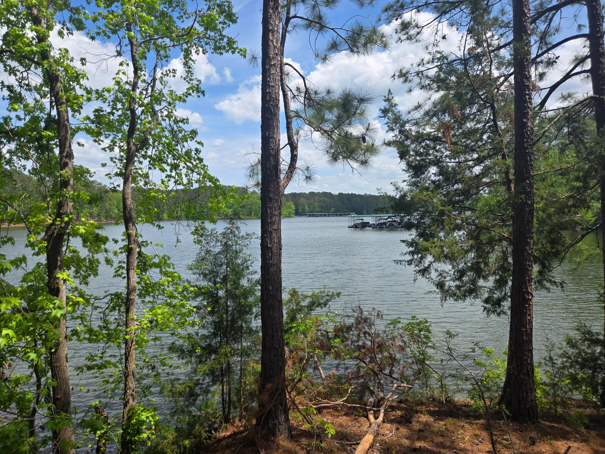 Property Slideshow image 13 of 73 | 621 heritage cv, Mc Cormick, SC, 29835