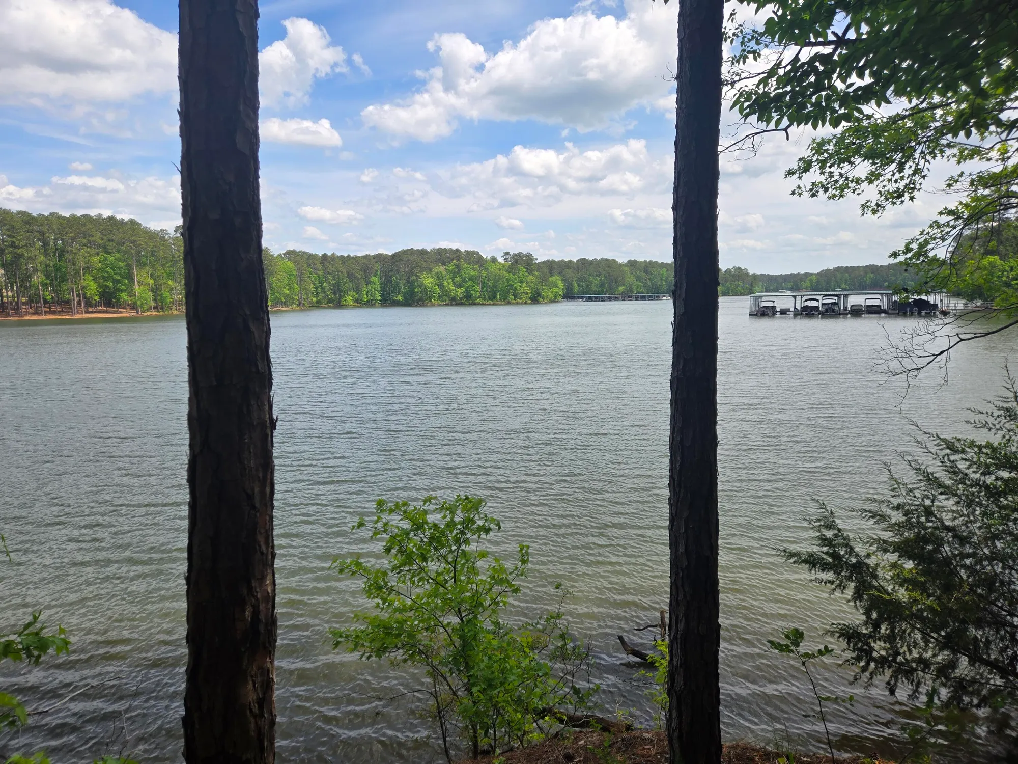 Property Slideshow image 14 of 73 | 621 heritage cv, Mc Cormick, SC, 29835