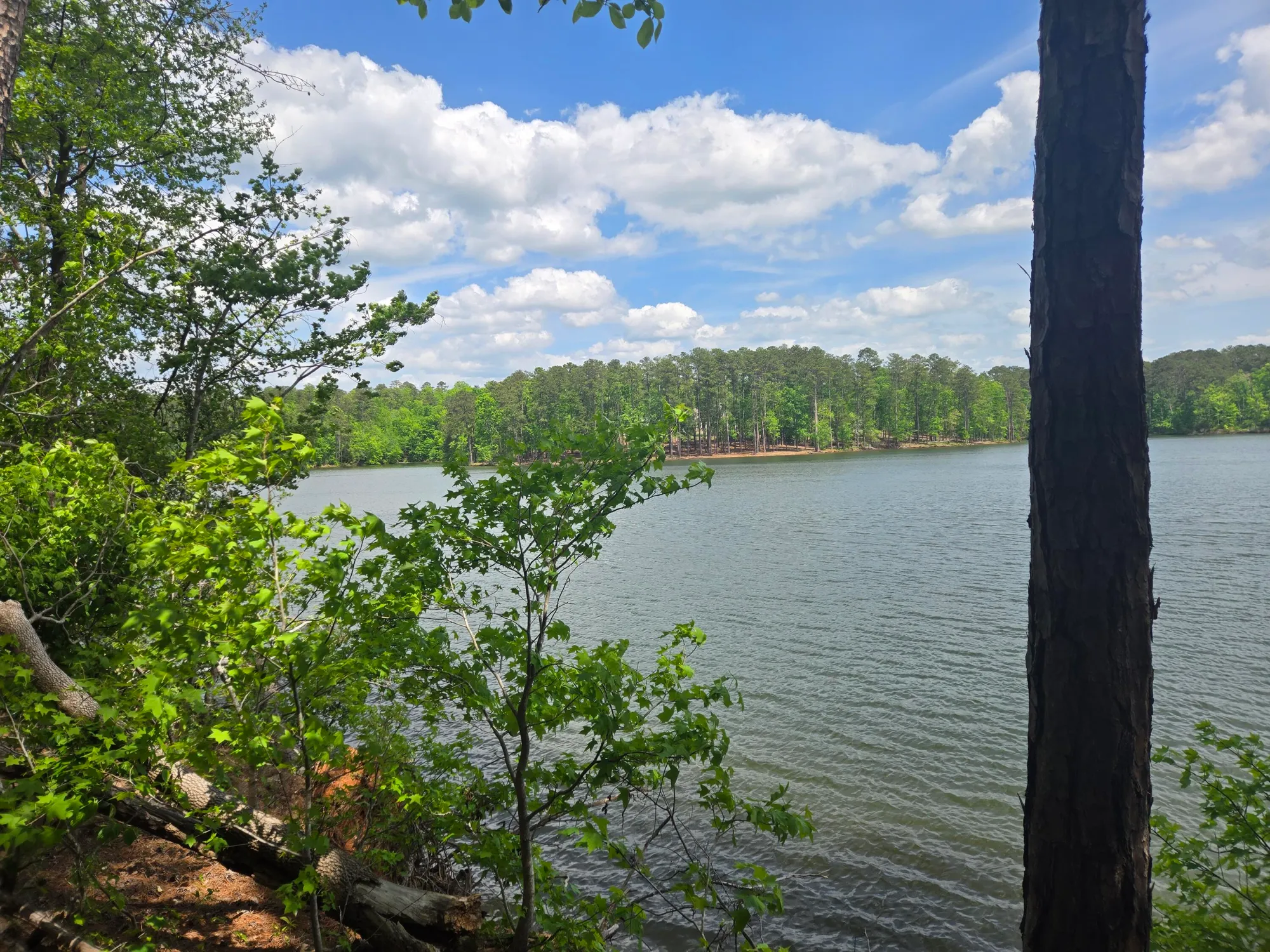 Property Slideshow image 15 of 73 | 621 heritage cv, Mc Cormick, SC, 29835