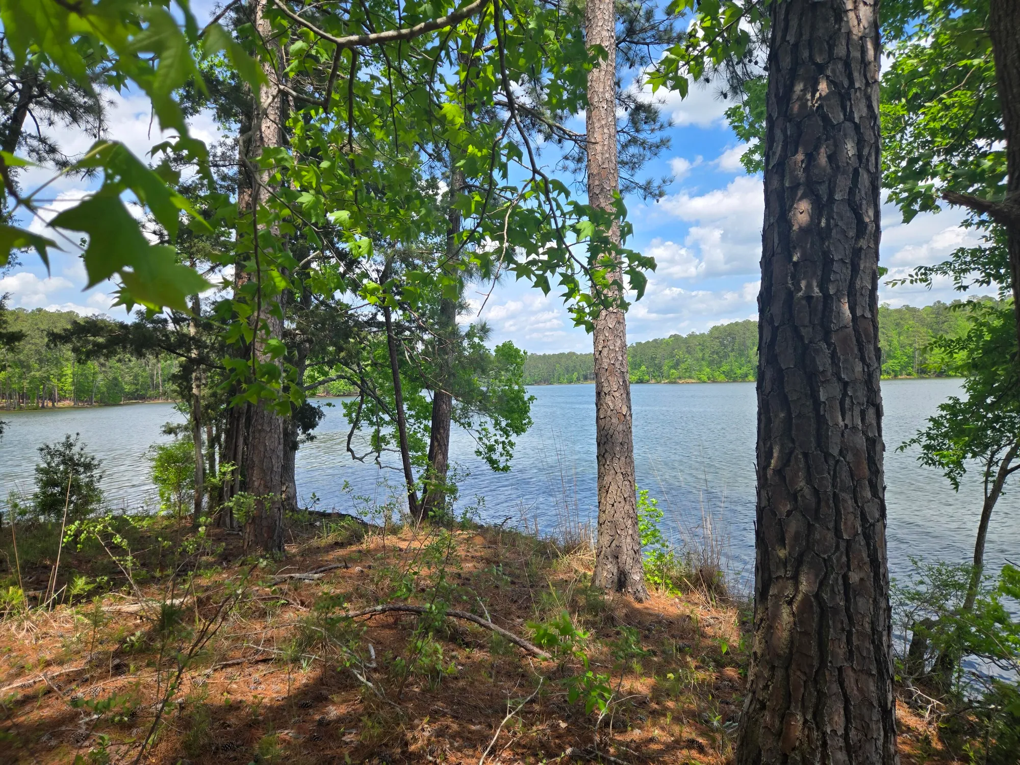 Property Slideshow image 16 of 73 | 621 heritage cv, Mc Cormick, SC, 29835