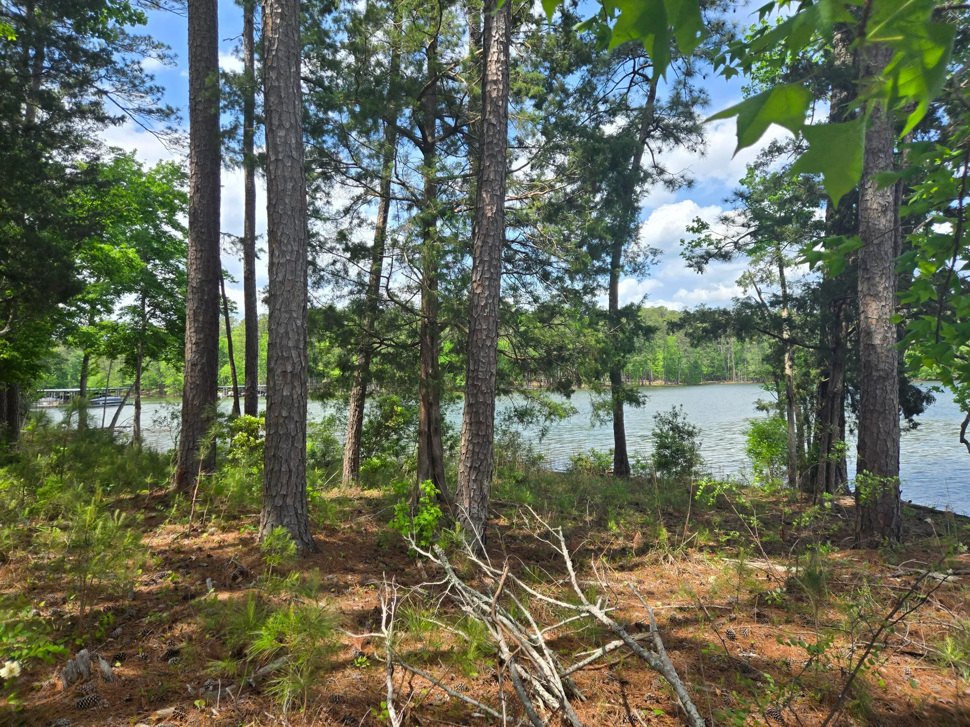 Property Slideshow image 17 of 73 | 621 heritage cv, Mc Cormick, SC, 29835