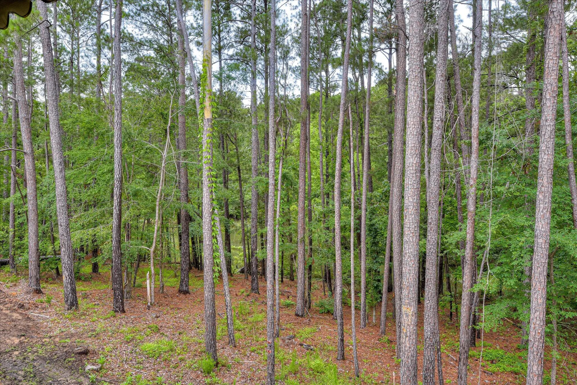 Property Slideshow image 34 of 34 | 315 coastal cv, Mc Cormick, SC, 29835