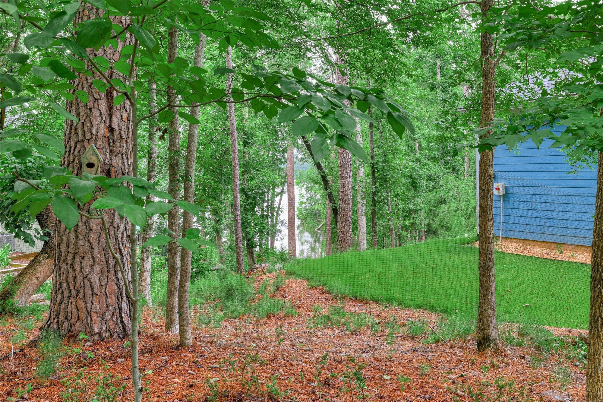 Property Slideshow image 65 of 67 | 901 patriots pt, Mc Cormick, SC, 29835