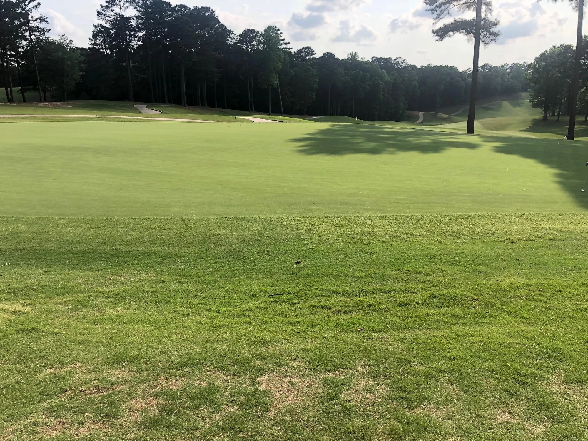 Property Slideshow image 68 of 74 | 405 sawgrass cv, Mc Cormick, SC, 29835