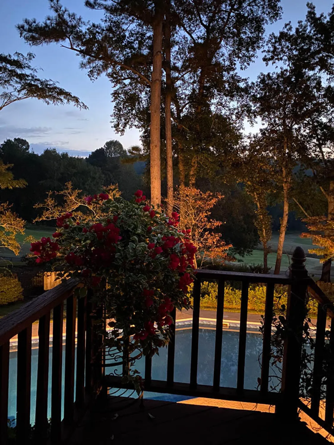 Property Slideshow image 65 of 74 | 313 live oak rd, Aiken, SC, 29803