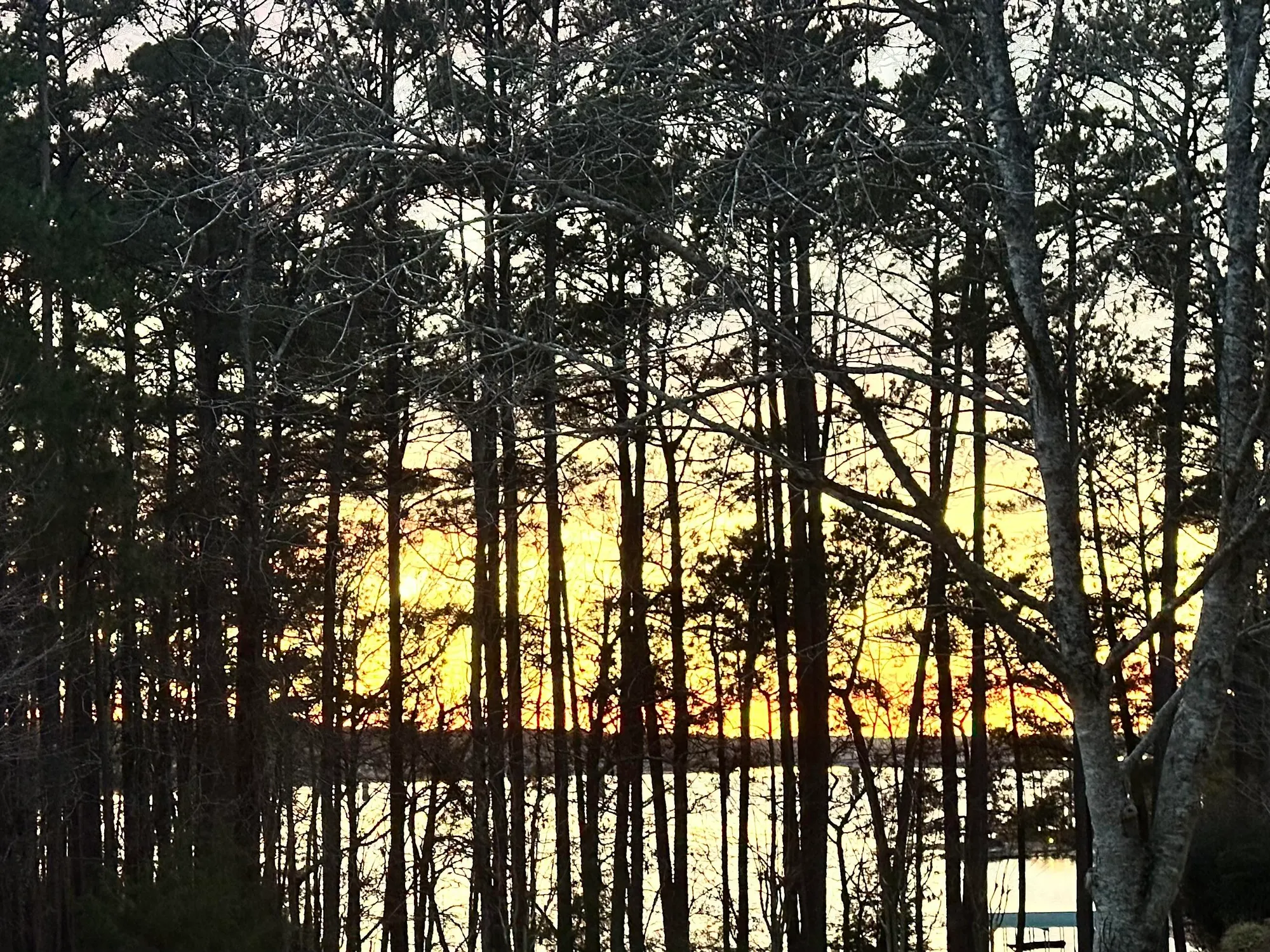 Property Slideshow image 71 of 72 | 184 savannah dr, Mc Cormick, SC, 29835