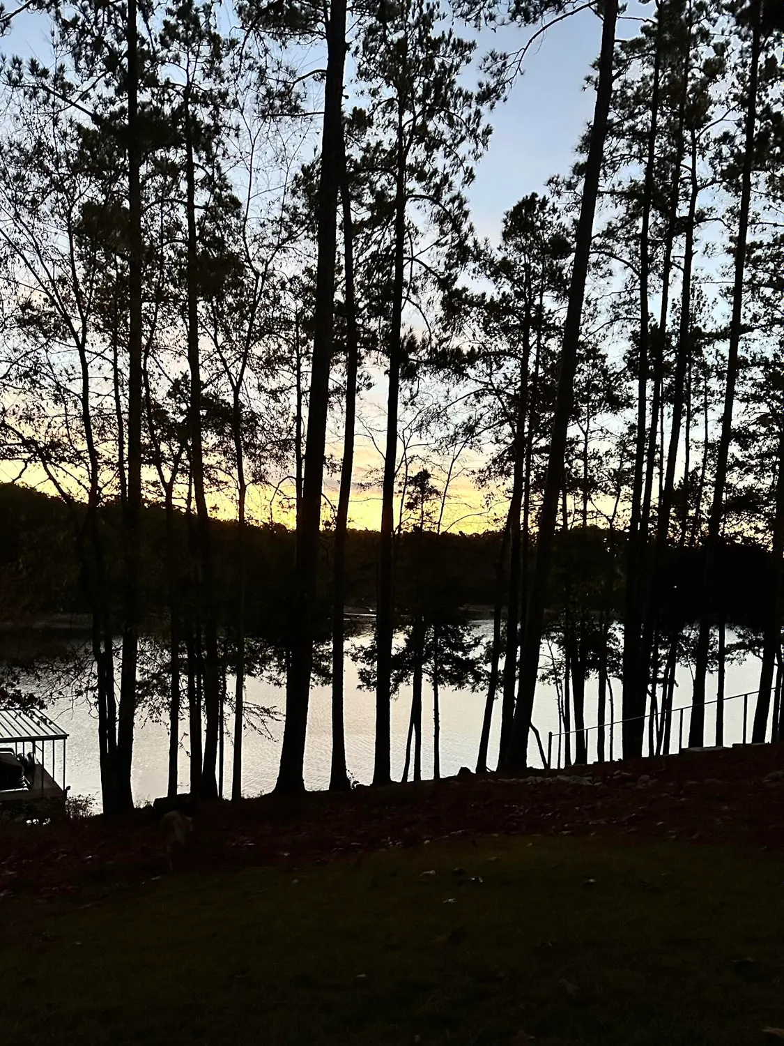 Property Slideshow image 72 of 72 | 184 savannah dr, Mc Cormick, SC, 29835