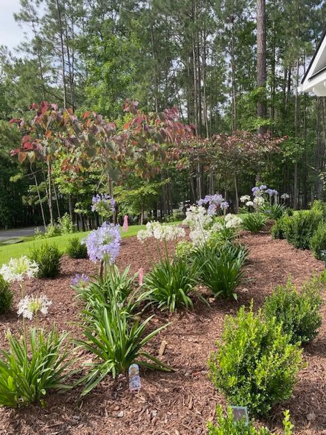 Property Slideshow image 6 of 43 | 256 candlewick loop, Mc Cormick, SC, 29835