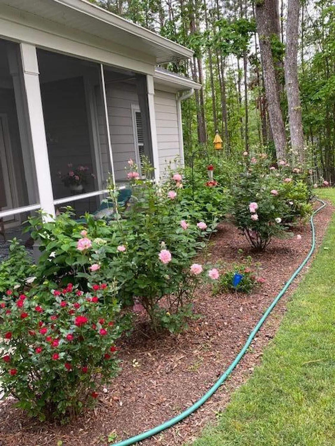 Property Slideshow image 8 of 43 | 256 candlewick loop, Mc Cormick, SC, 29835