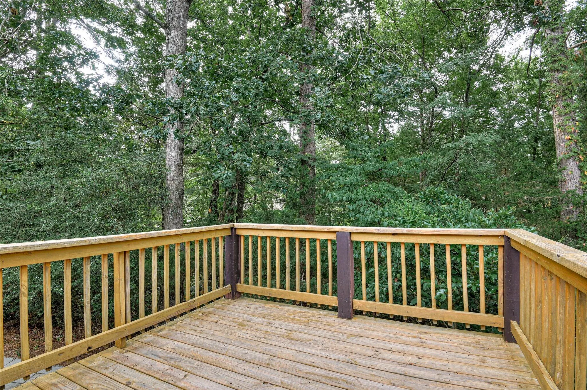 Property Slideshow image 44 of 49 | 301 misty cv, Mc Cormick, SC, 29835