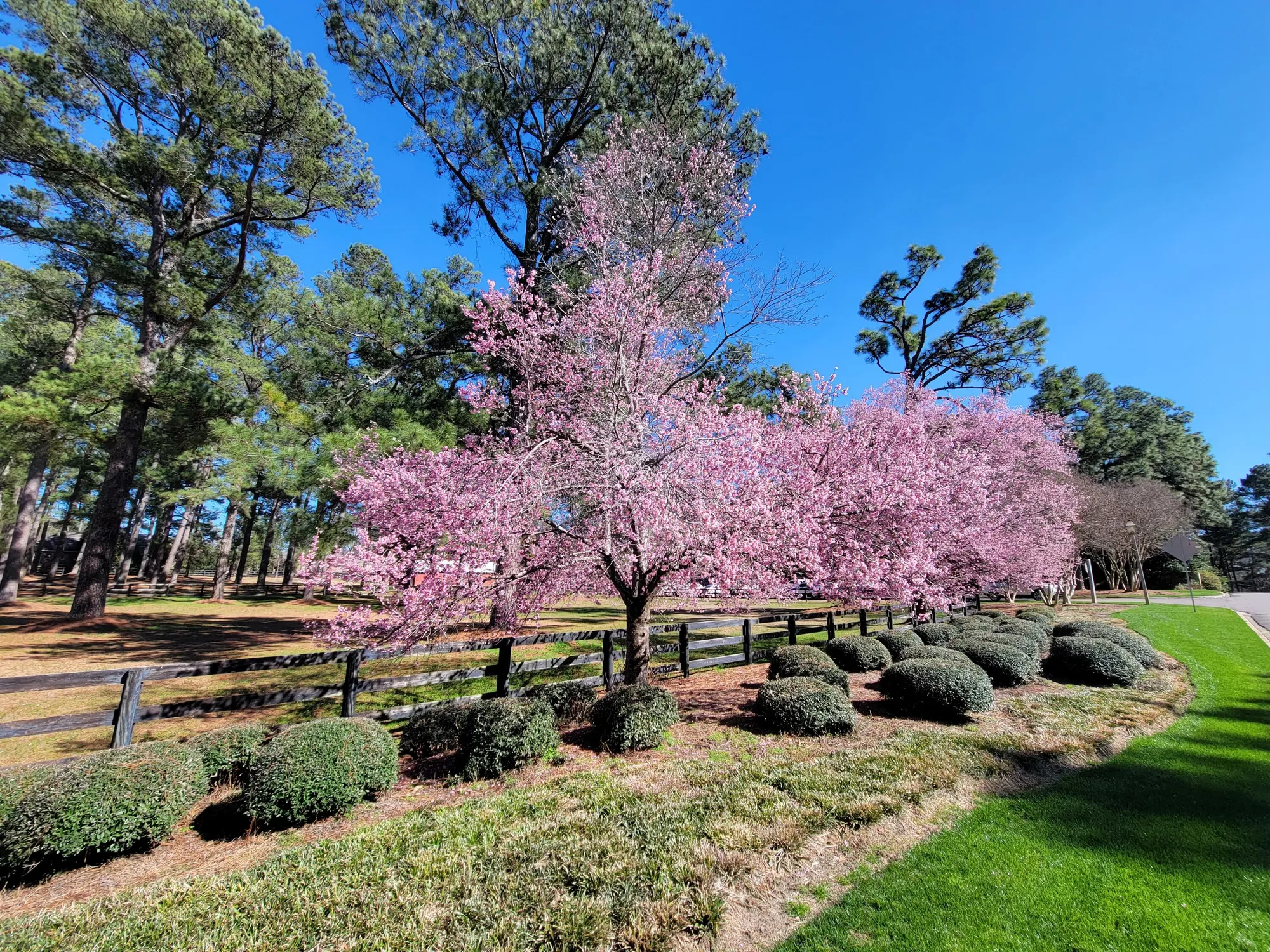 Property Slideshow image 55 of 63 | 109 glen haven cir, Aiken, SC, 29803