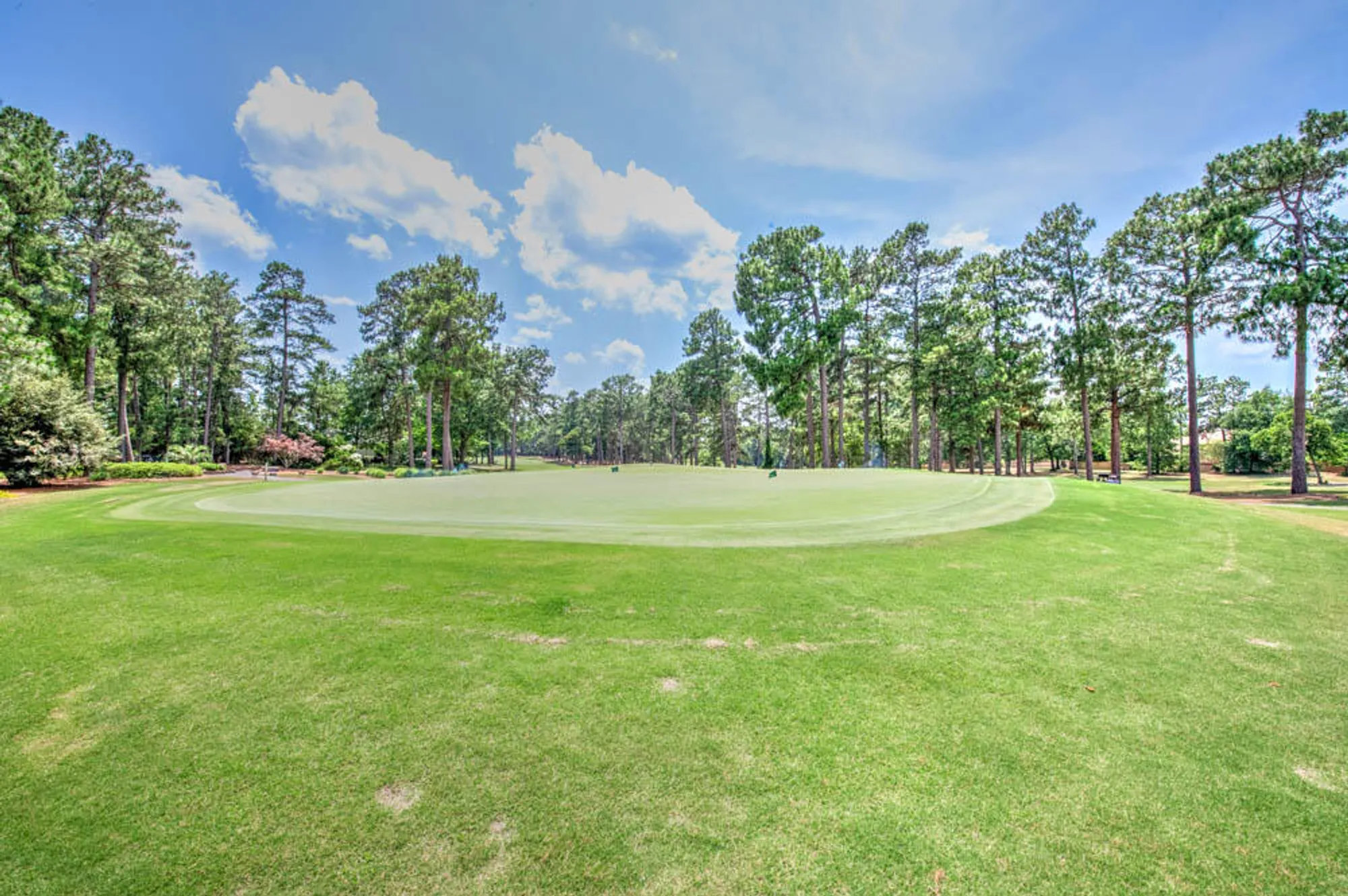 Property Slideshow image 71 of 74 | 313 live oak rd, Aiken, SC, 29803