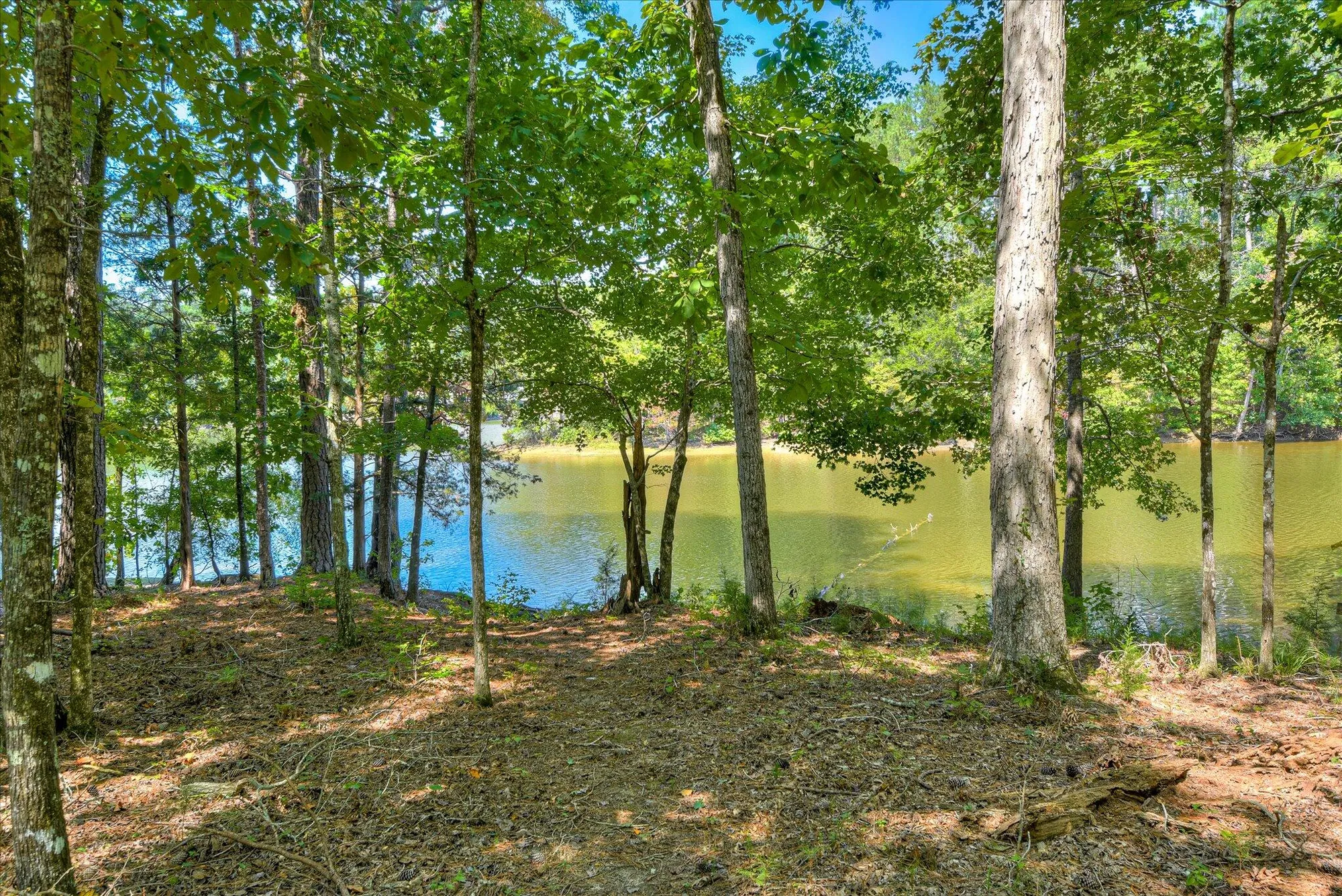 Property Slideshow image 52 of 71 | 153 cumberland dr, Mc Cormick, SC, 29835