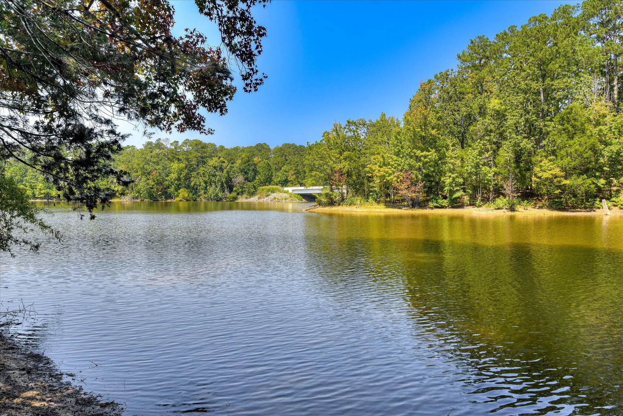 Property Slideshow image 54 of 71 | 153 cumberland dr, Mc Cormick, SC, 29835