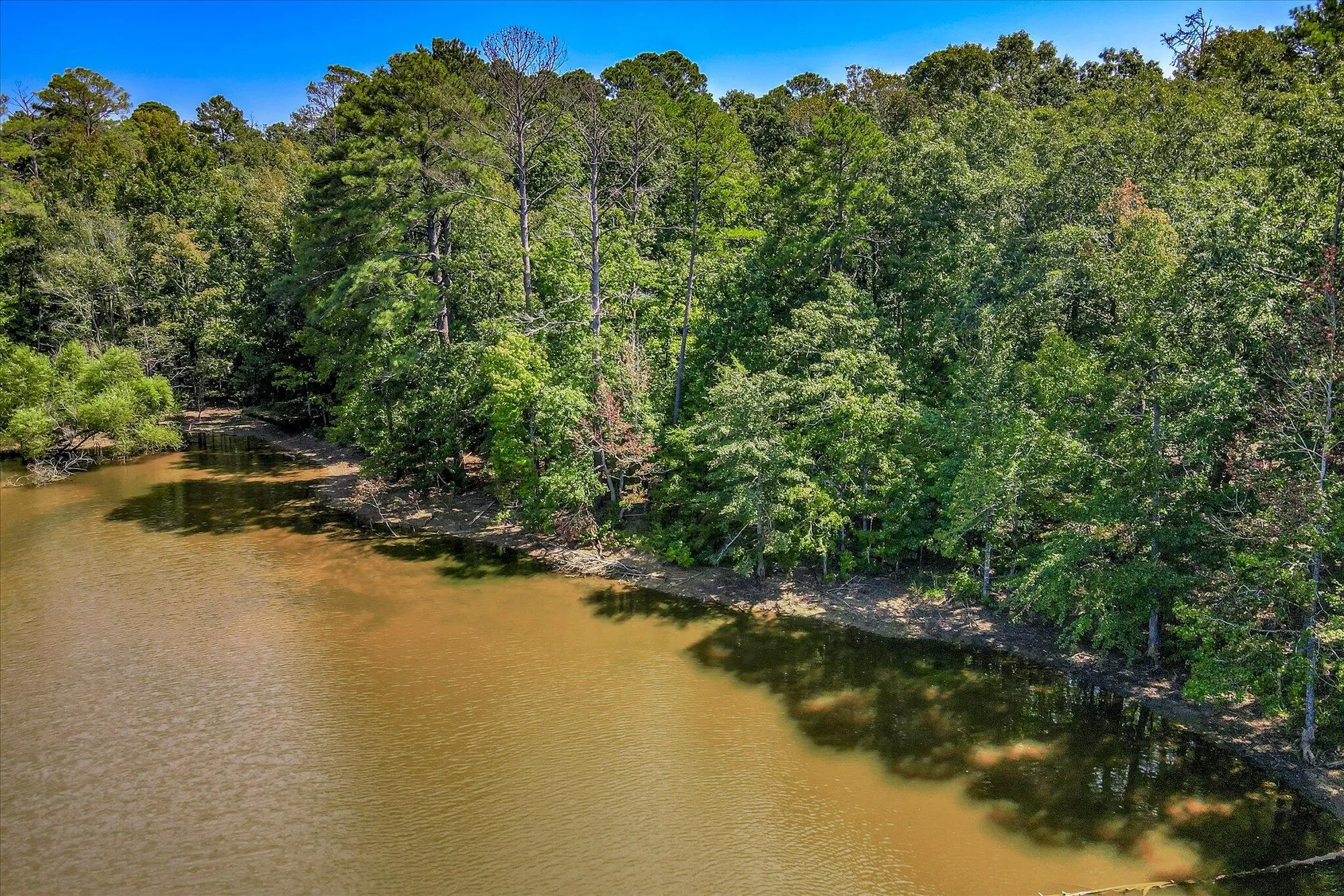 Property Slideshow image 69 of 71 | 153 cumberland dr, Mc Cormick, SC, 29835