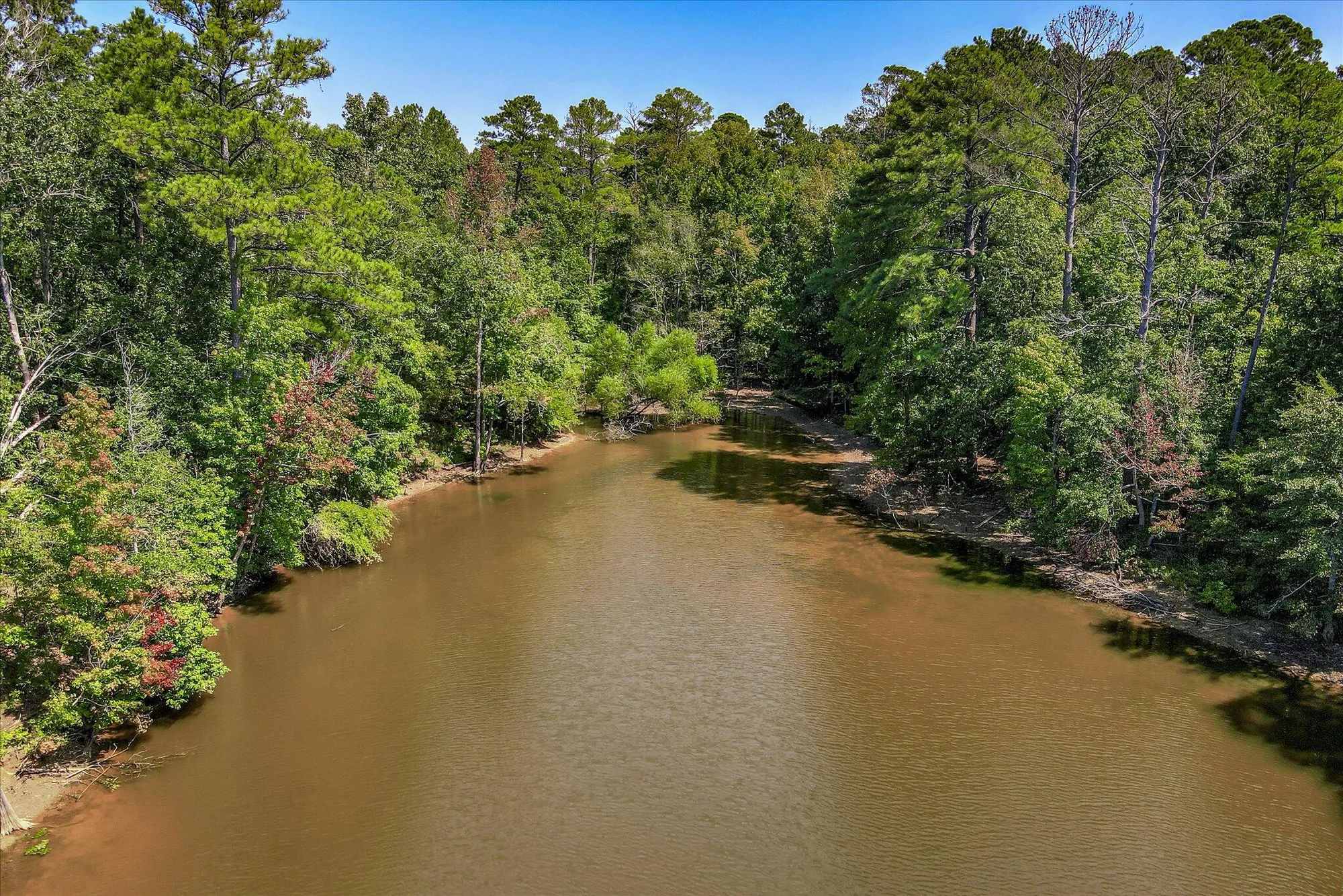 Property Slideshow image 70 of 71 | 153 cumberland dr, Mc Cormick, SC, 29835