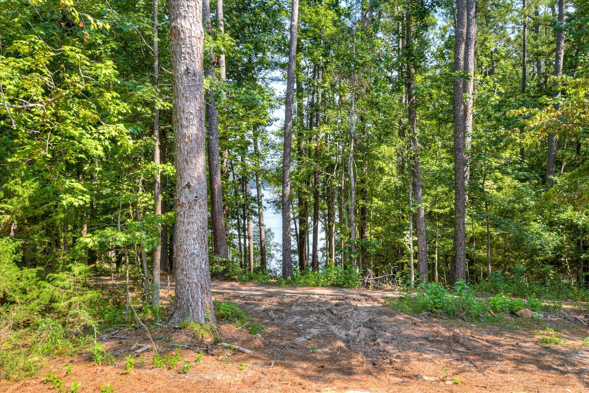 Property Slideshow image 45 of 46 | 150 shenandoah dr, Mc Cormick, SC, 29835