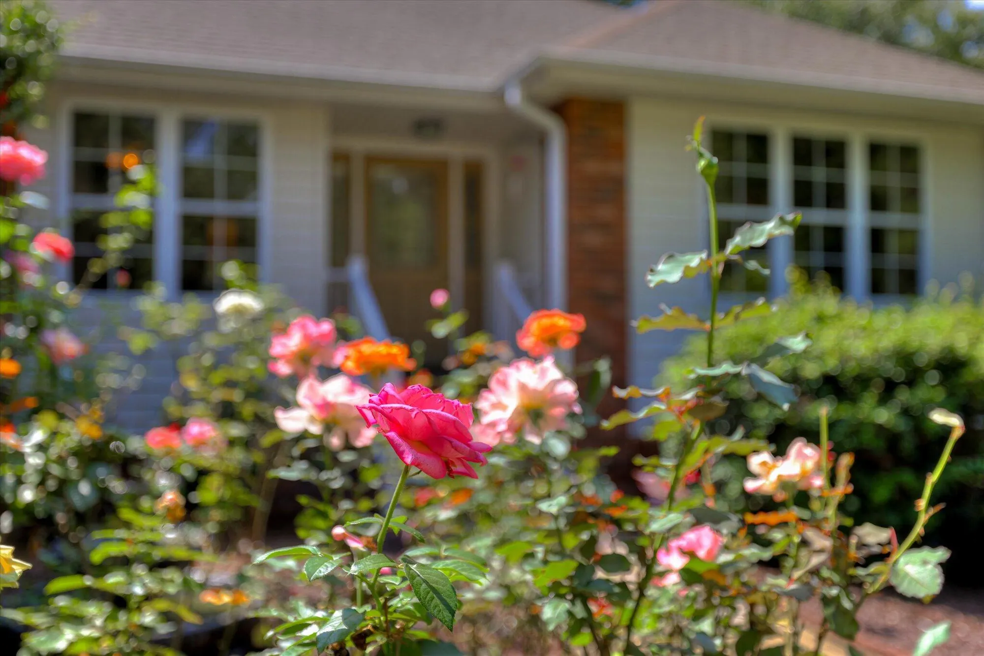 Property Slideshow image 7 of 53 | 140 bereau dr, Mc Cormick, SC, 29835