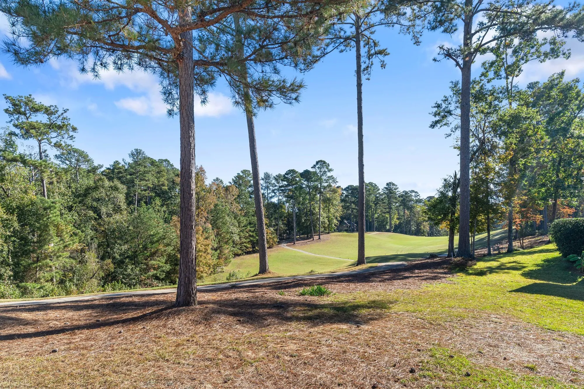 Property Slideshow image 8 of 54 | 311 katie ln, Mc Cormick, SC, 29835