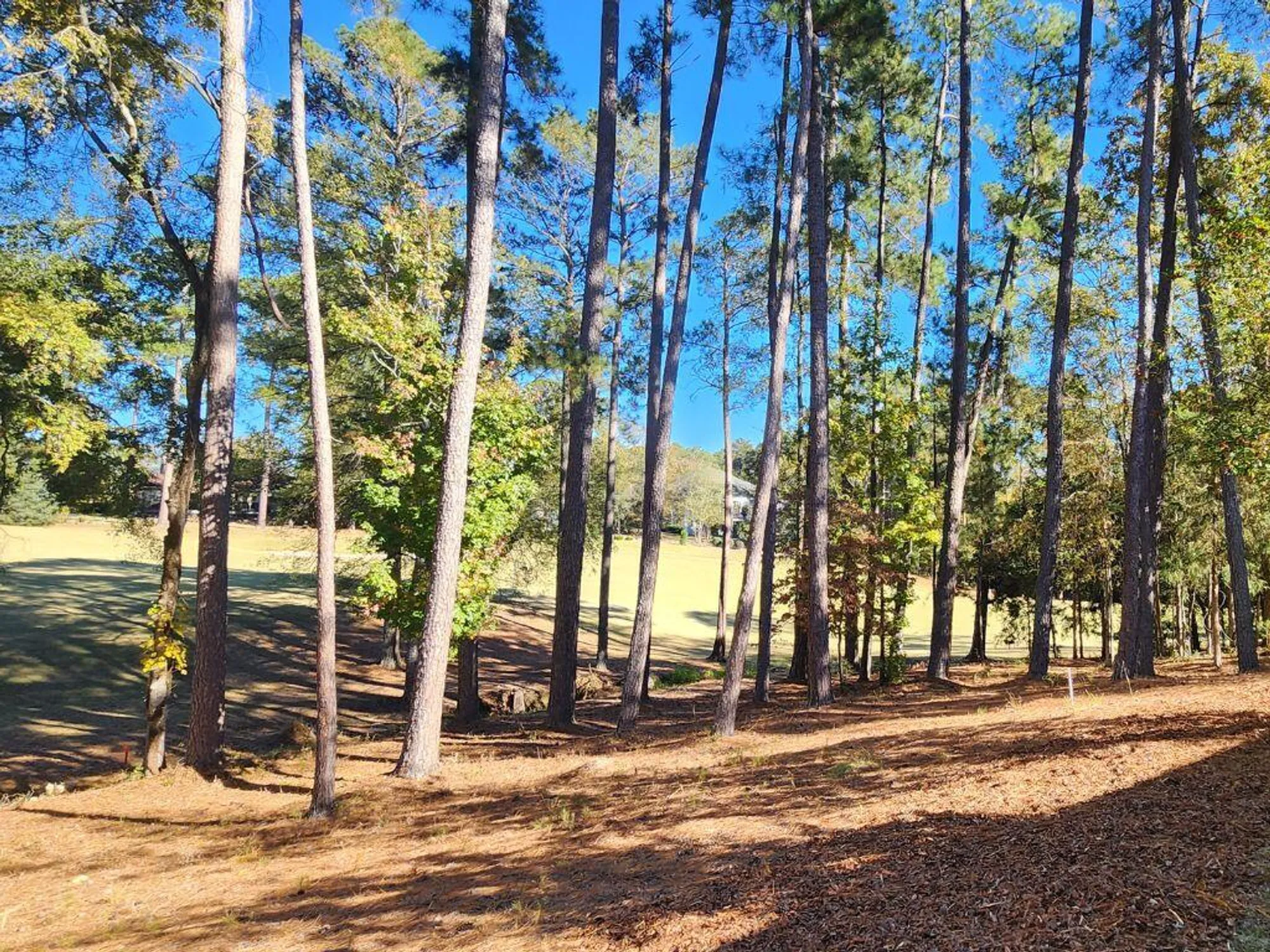 Property Slideshow image 44 of 46 | 314 palmer ln, Mc Cormick, SC, 29835