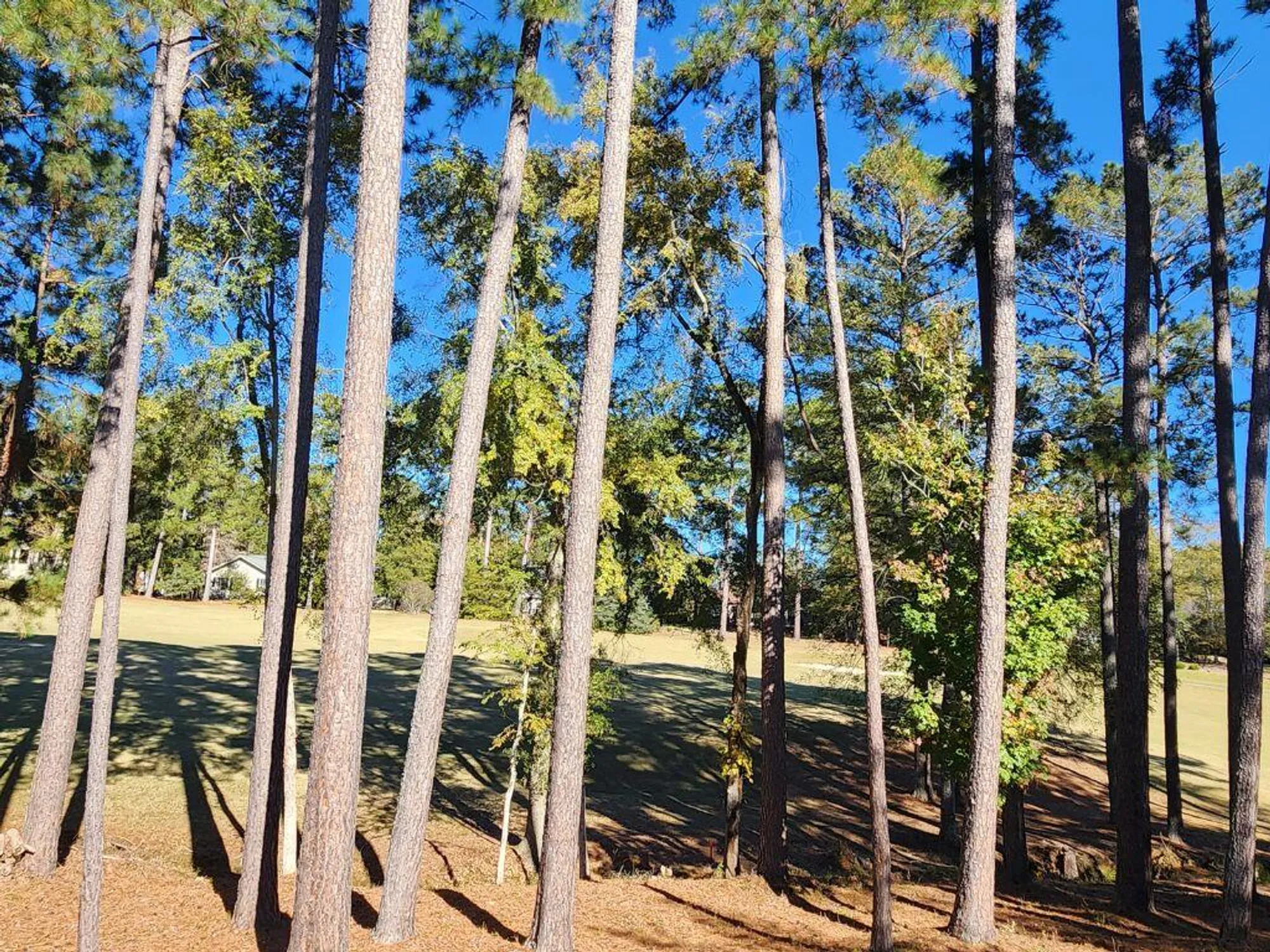 Property Slideshow image 45 of 46 | 314 palmer ln, Mc Cormick, SC, 29835