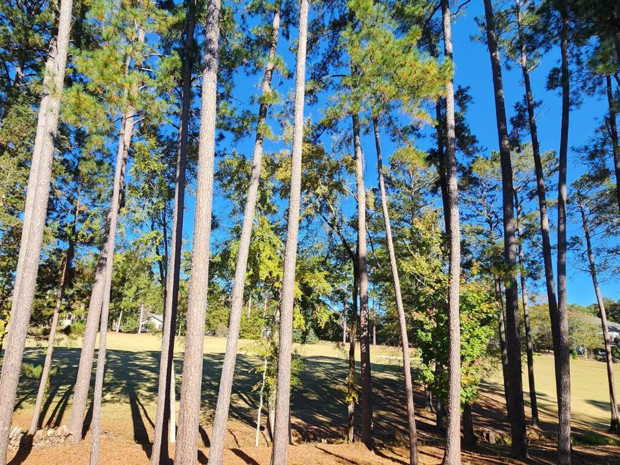 Property Slideshow image 46 of 46 | 314 palmer ln, Mc Cormick, SC, 29835