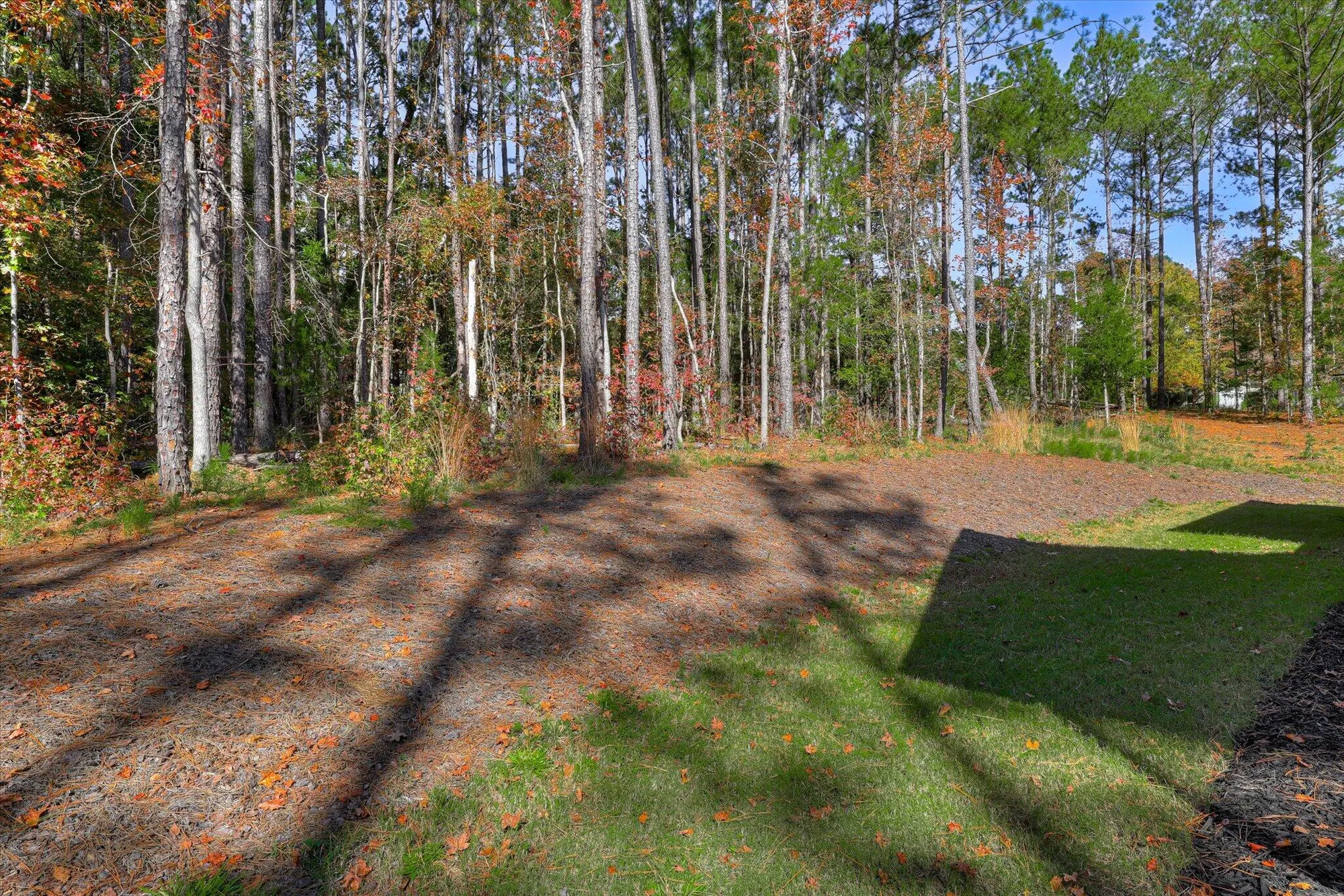 Property Slideshow image 38 of 39 | 114 elam dr, Mc Cormick, SC, 29835