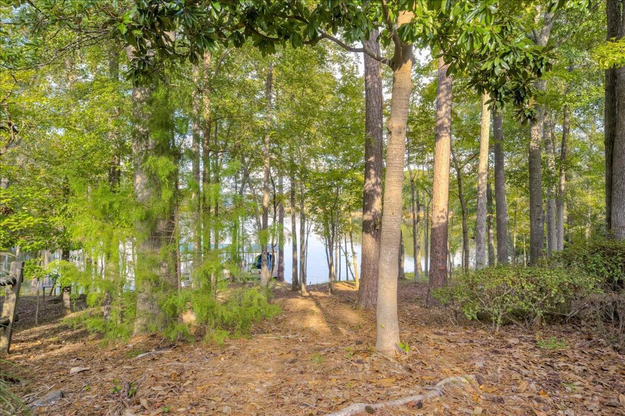 Property Slideshow image 67 of 68 | 202 shenandoah dr, Mc Cormick, SC, 29835