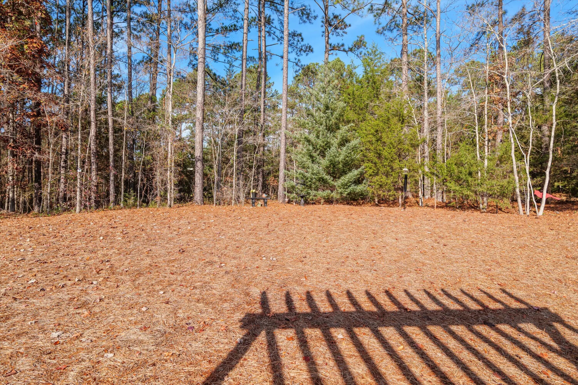 Property Slideshow image 45 of 54 | 214 sunflower cir, Mc Cormick, SC, 29835