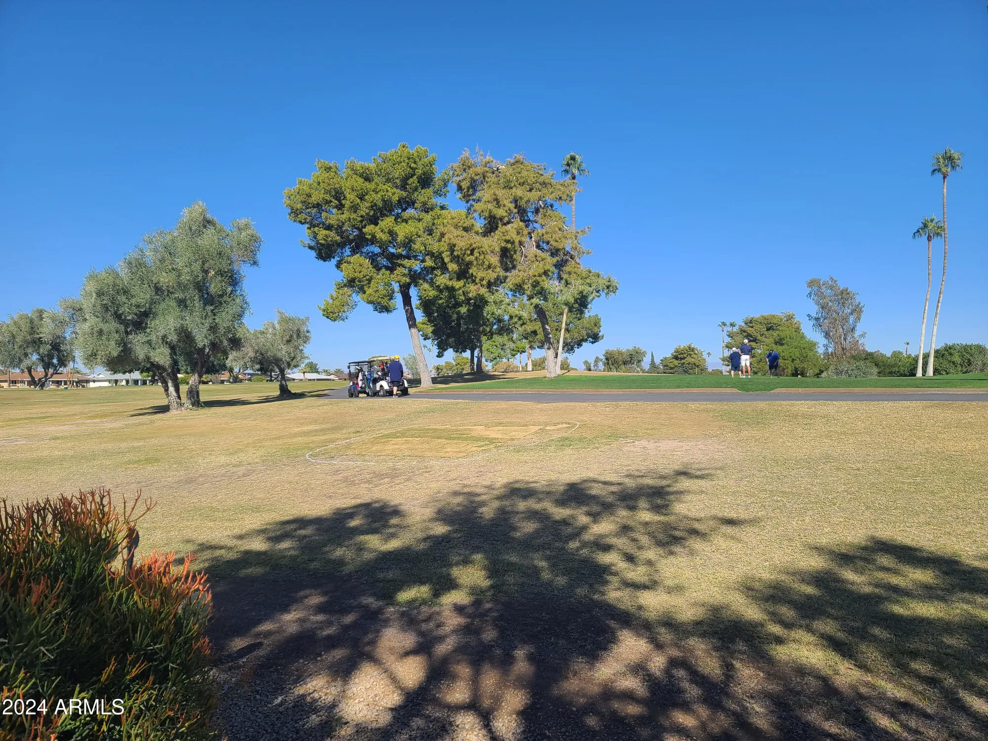 Property Slideshow image 41 of 47 | 12946 w ashwood dr, Sun City West, AZ, 85375