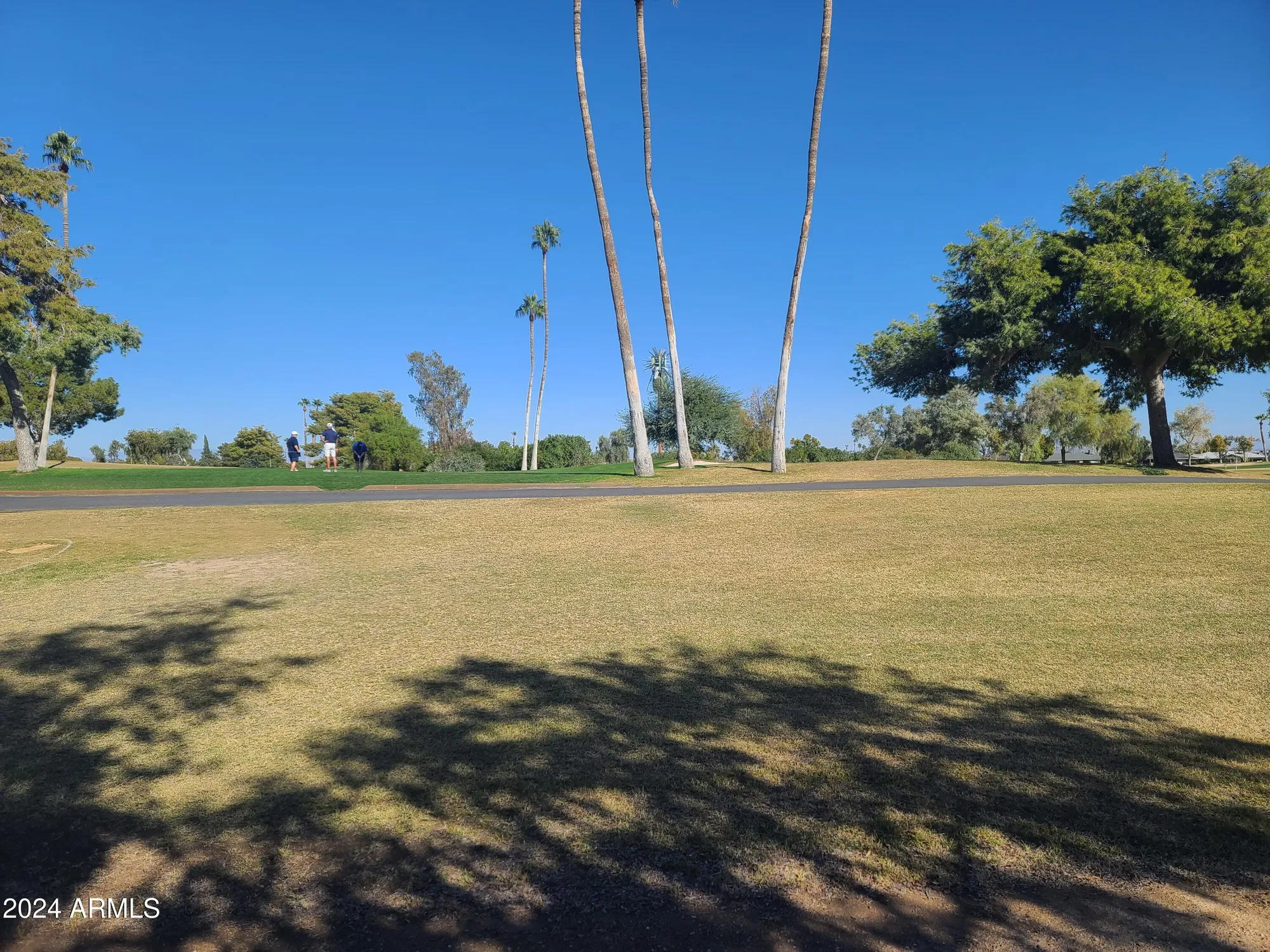 Property Slideshow image 44 of 47 | 12946 w ashwood dr, Sun City West, AZ, 85375