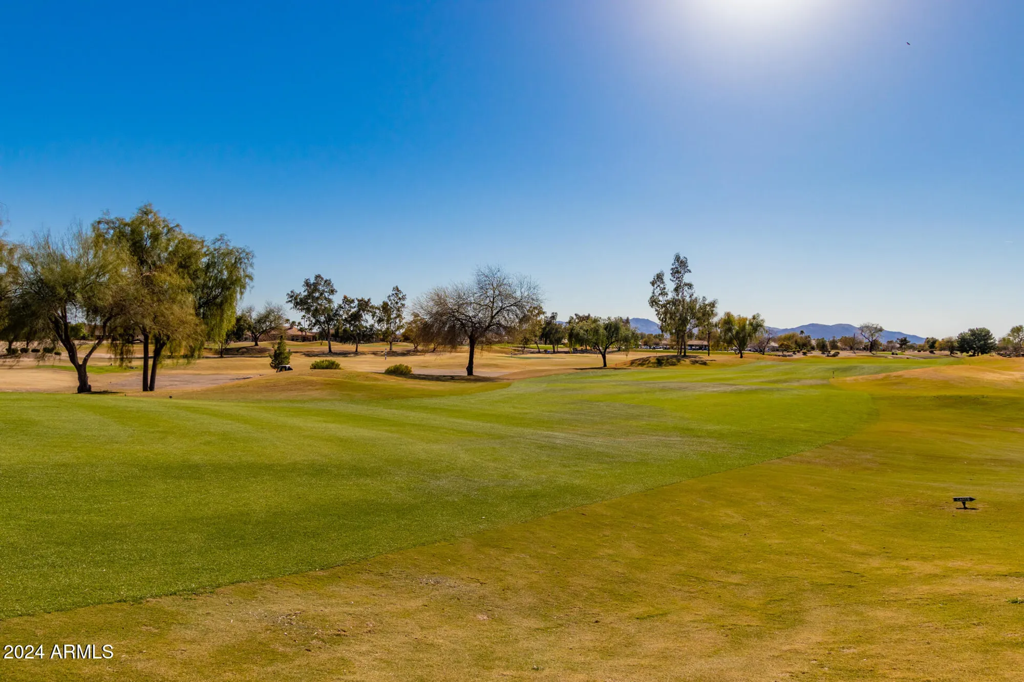 Property Slideshow image 66 of 73 | 14105 w sky hawk dr, Sun City West, AZ, 85375