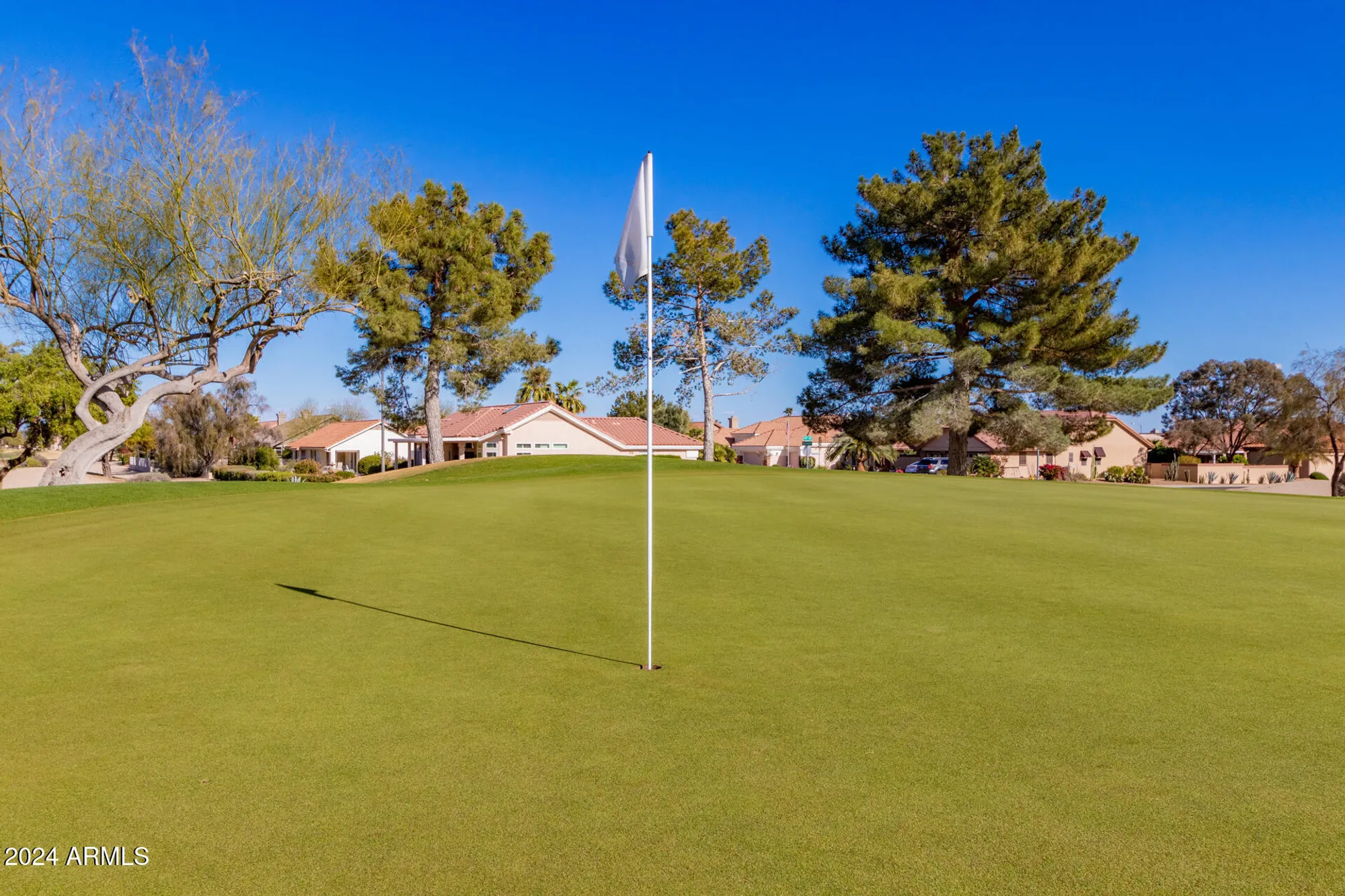 Property Slideshow image 67 of 73 | 14105 w sky hawk dr, Sun City West, AZ, 85375