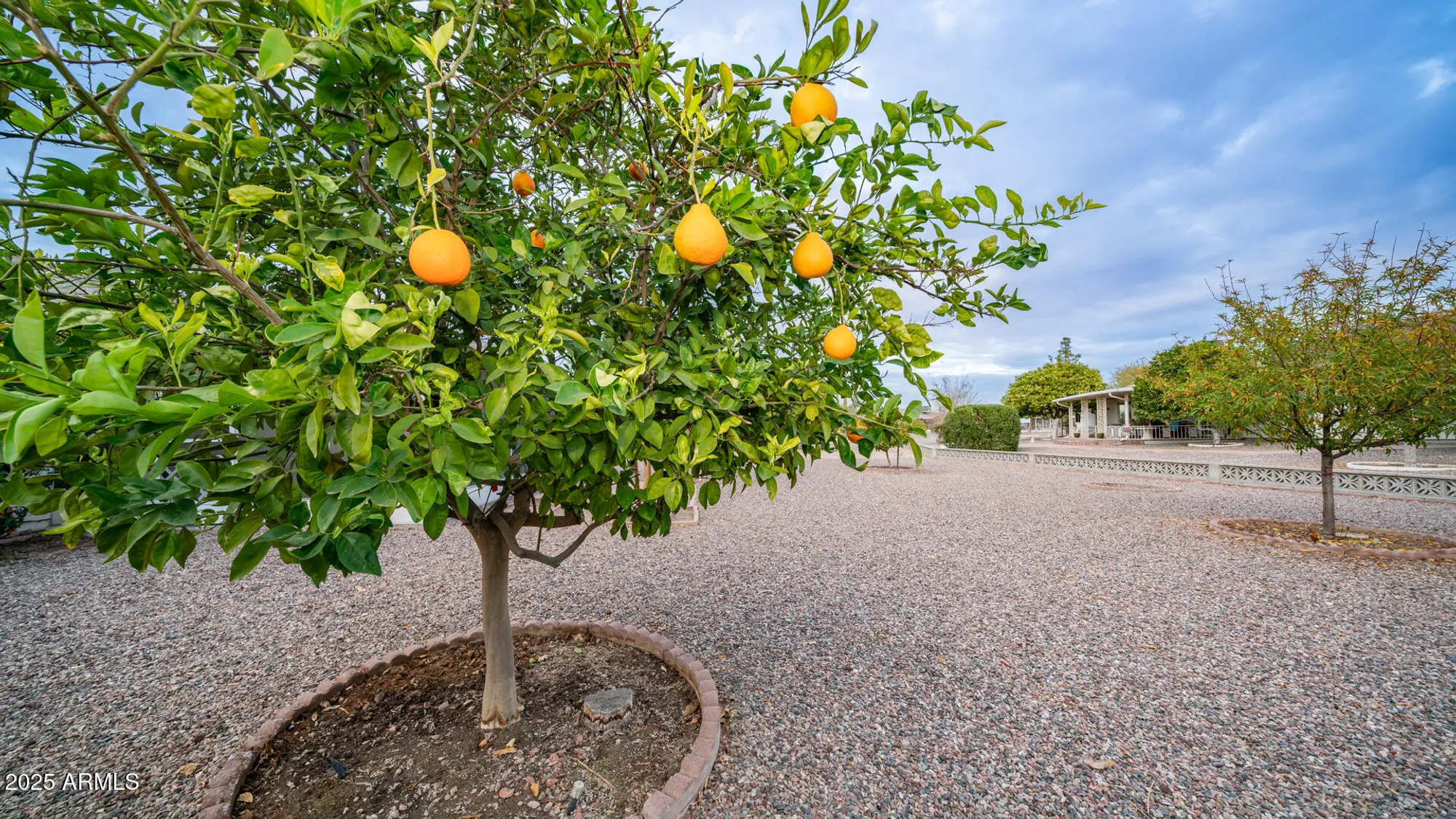 Property Slideshow image 33 of 33 | 19829 n lake forest dr, Sun City, AZ, 85373