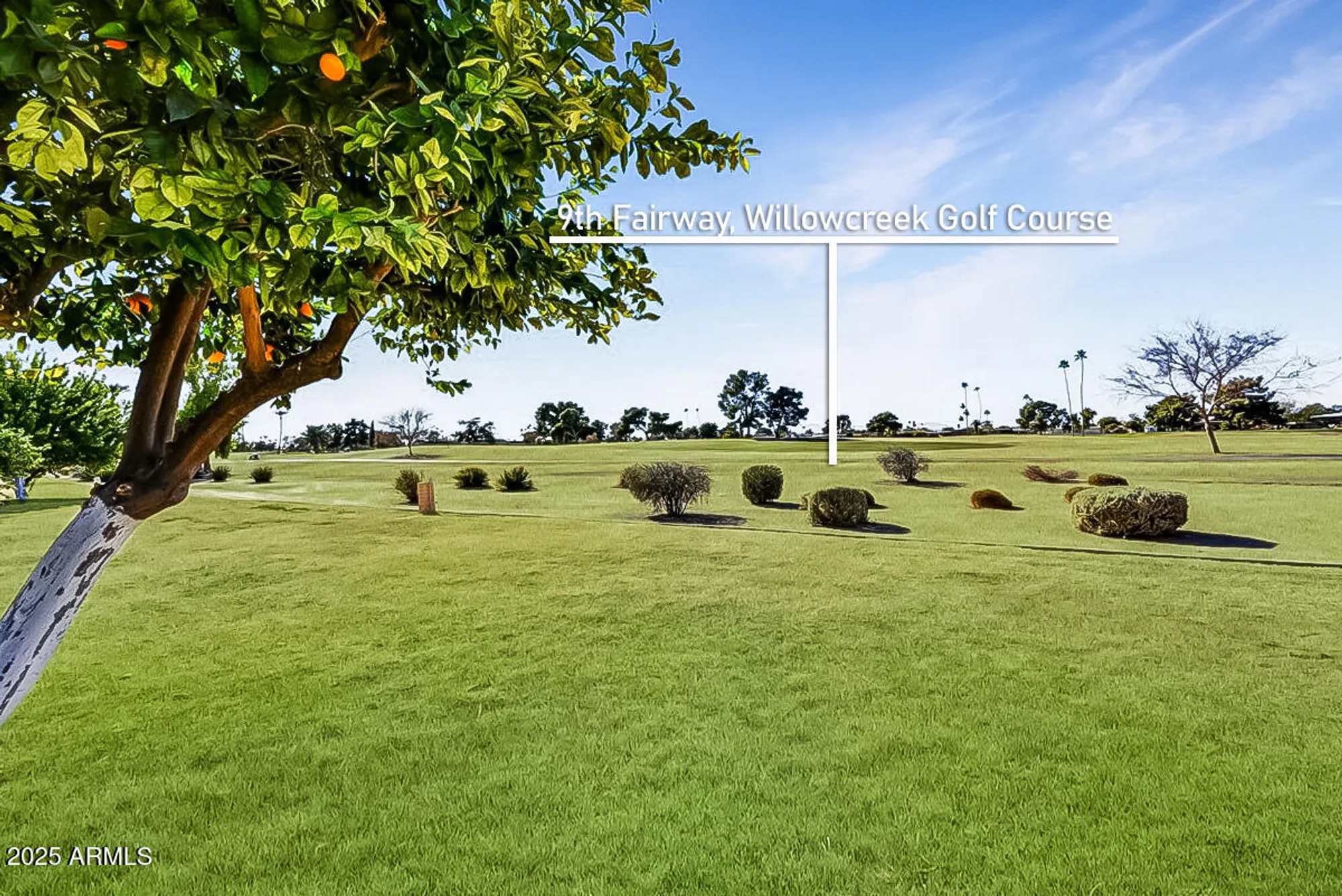 Property Slideshow image 6 of 28 | 18410 n 104th ave, Sun City, AZ, 85373