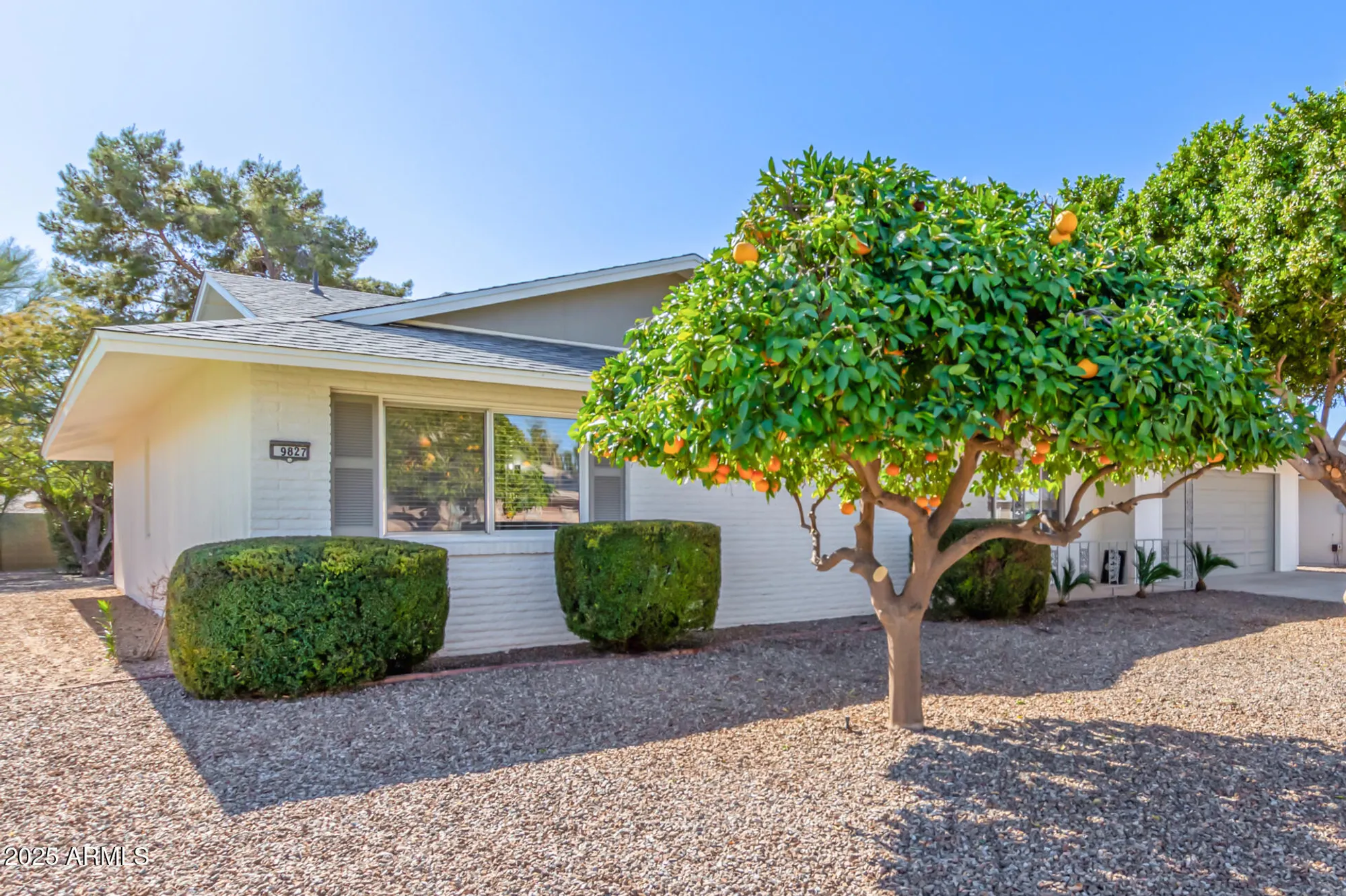 Property Slideshow image 6 of 29 | 9827 w lindgren ave, Sun City, AZ, 85373