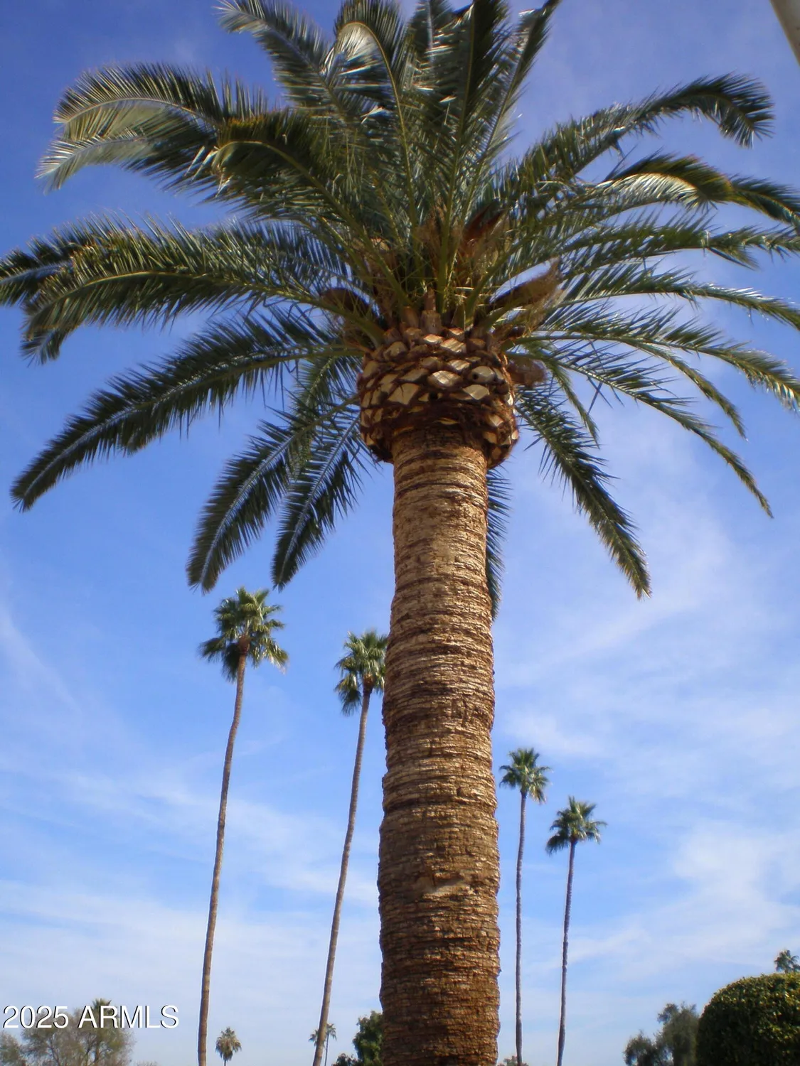 Property Slideshow image 81 of 84 | 10731 w mission ln, Sun City, AZ, 85351