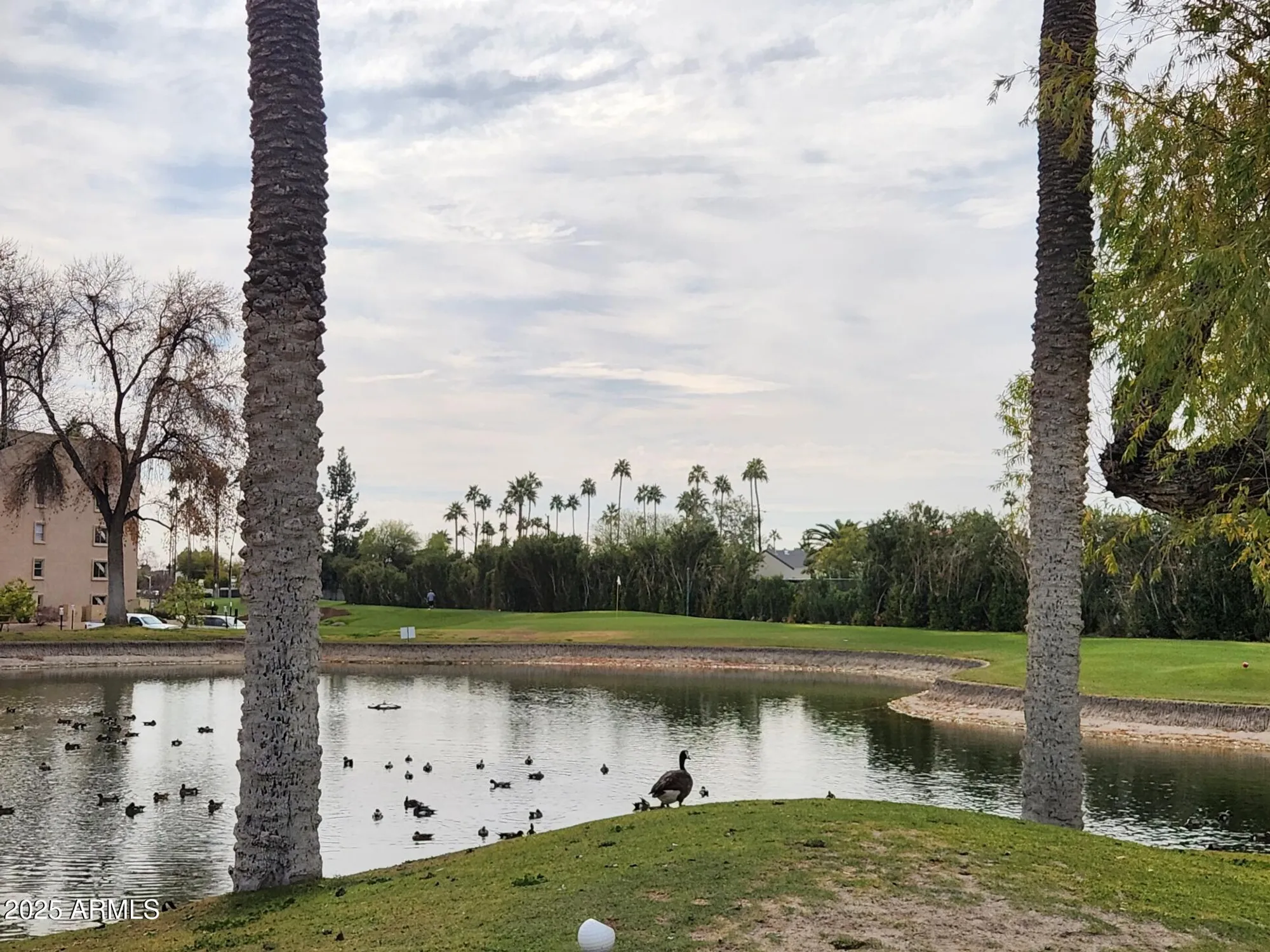 Property Slideshow image 37 of 57 | 7860 e camelback rd 309, Scottsdale, AZ, 85251