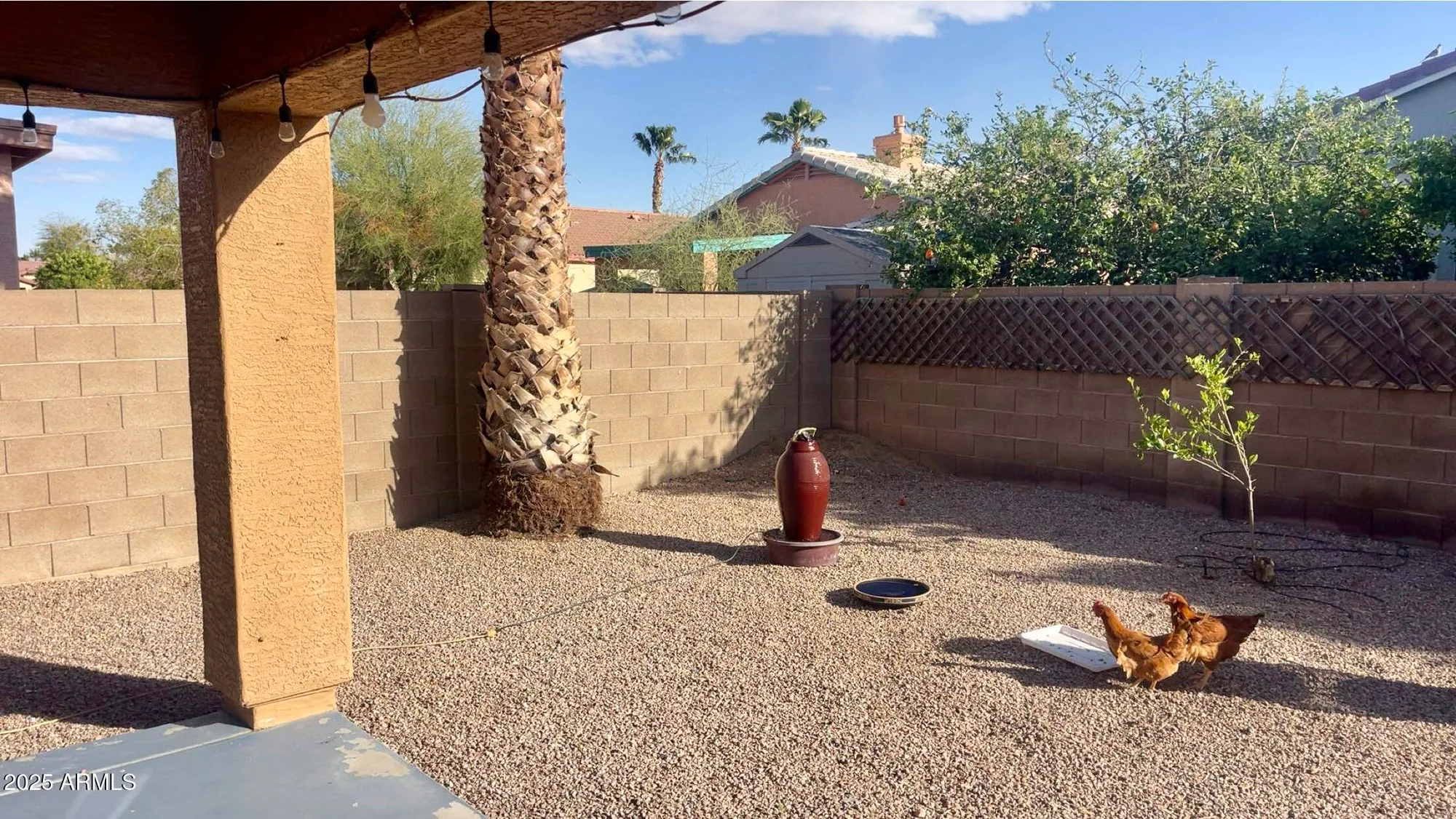 Property Slideshow image 6 of 29 | 1869 e birch st, Casa Grande, AZ, 85122